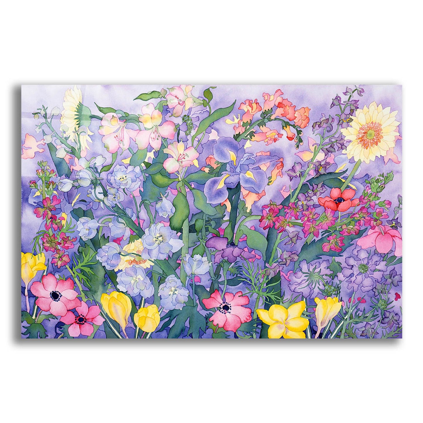 Epic Art 'Soft Spring' by Carissa Luminess, Acrylic Glass Wall Art,24x16