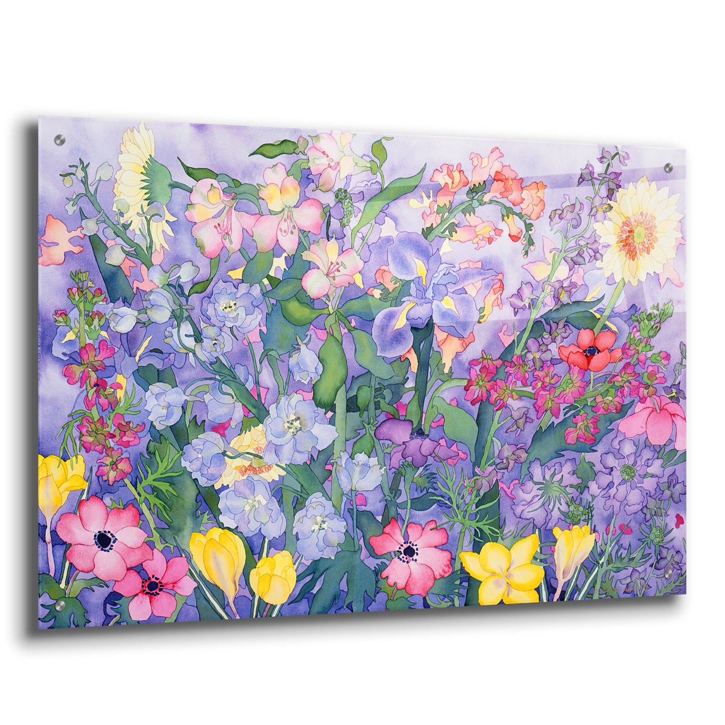 Epic Art 'Soft Spring' by Carissa Luminess, Acrylic Glass Wall Art,36x24