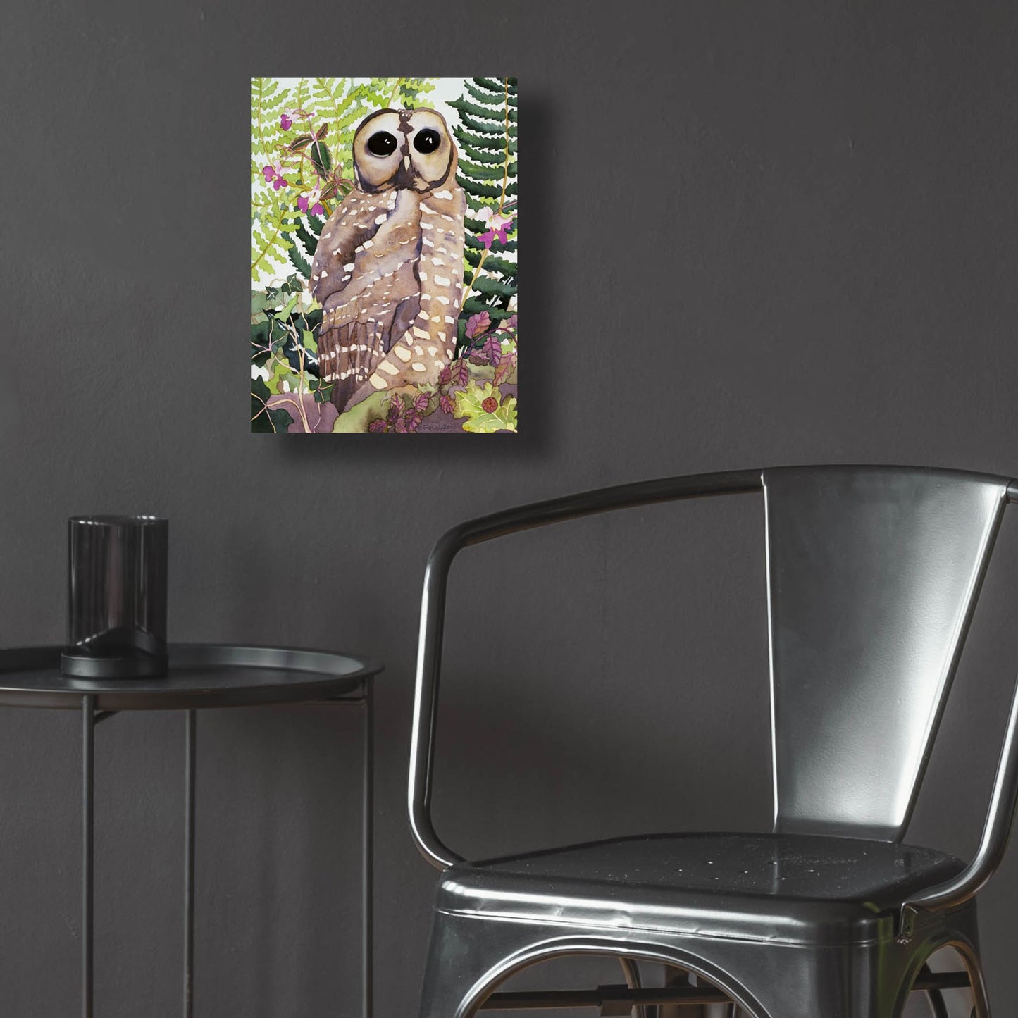 Epic Art 'Spotted Owl' by Carissa Luminess, Acrylic Glass Wall Art,12x16