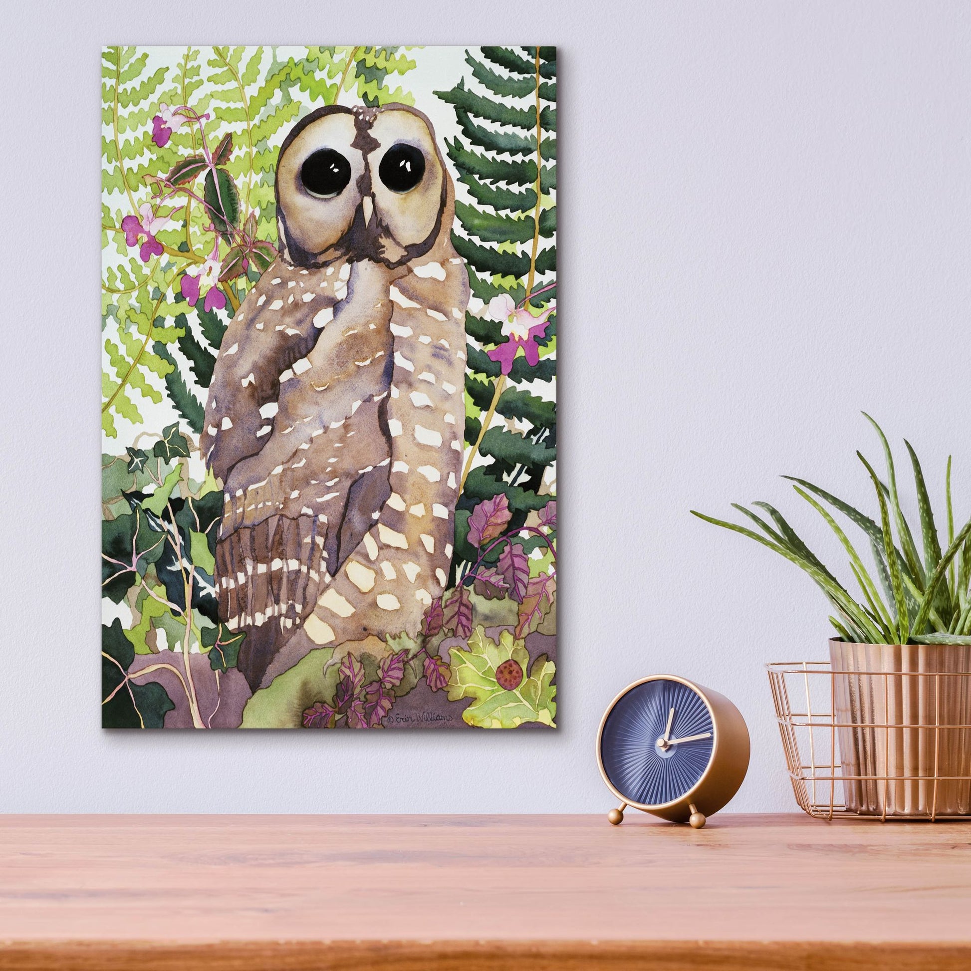 Epic Art 'Spotted Owl' by Carissa Luminess, Acrylic Glass Wall Art,12x16