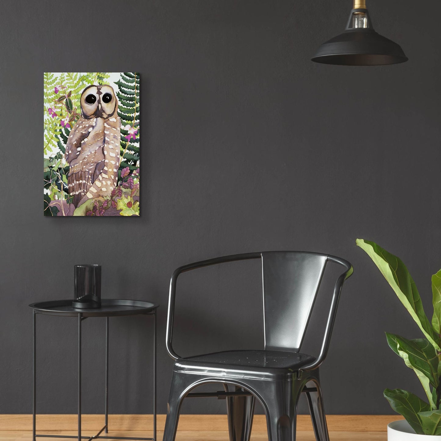 Epic Art 'Spotted Owl' by Carissa Luminess, Acrylic Glass Wall Art,16x24