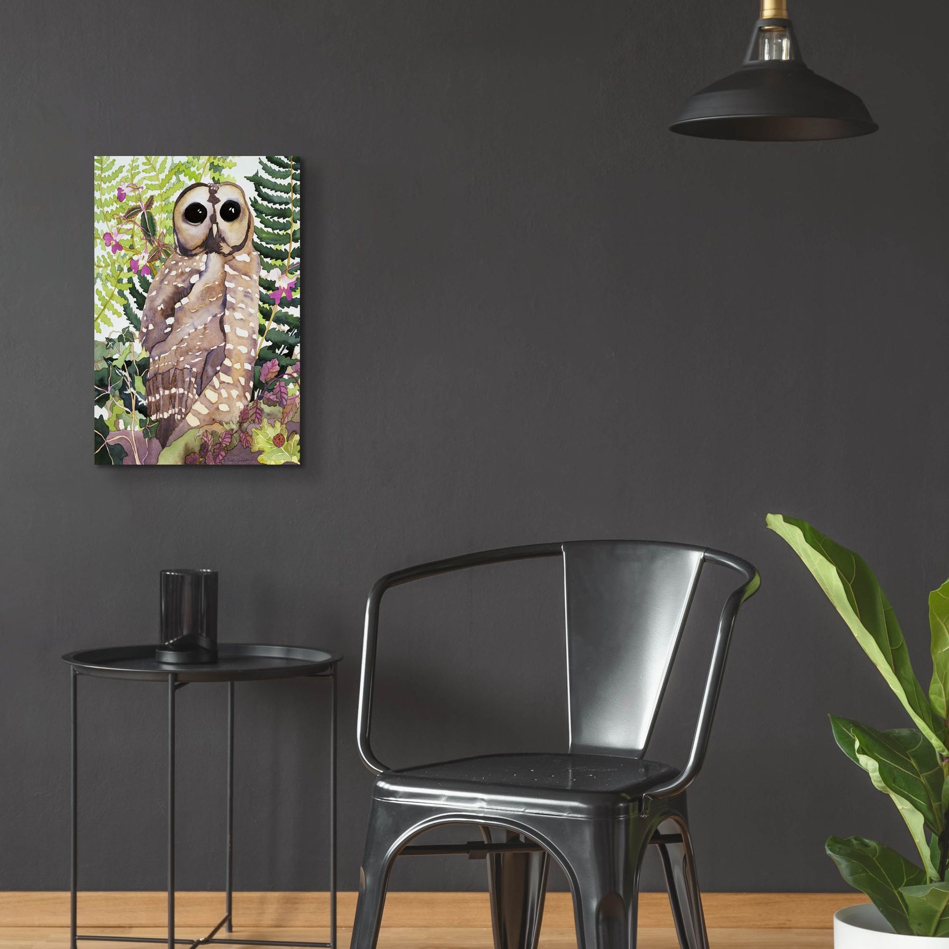 Epic Art 'Spotted Owl' by Carissa Luminess, Acrylic Glass Wall Art,16x24