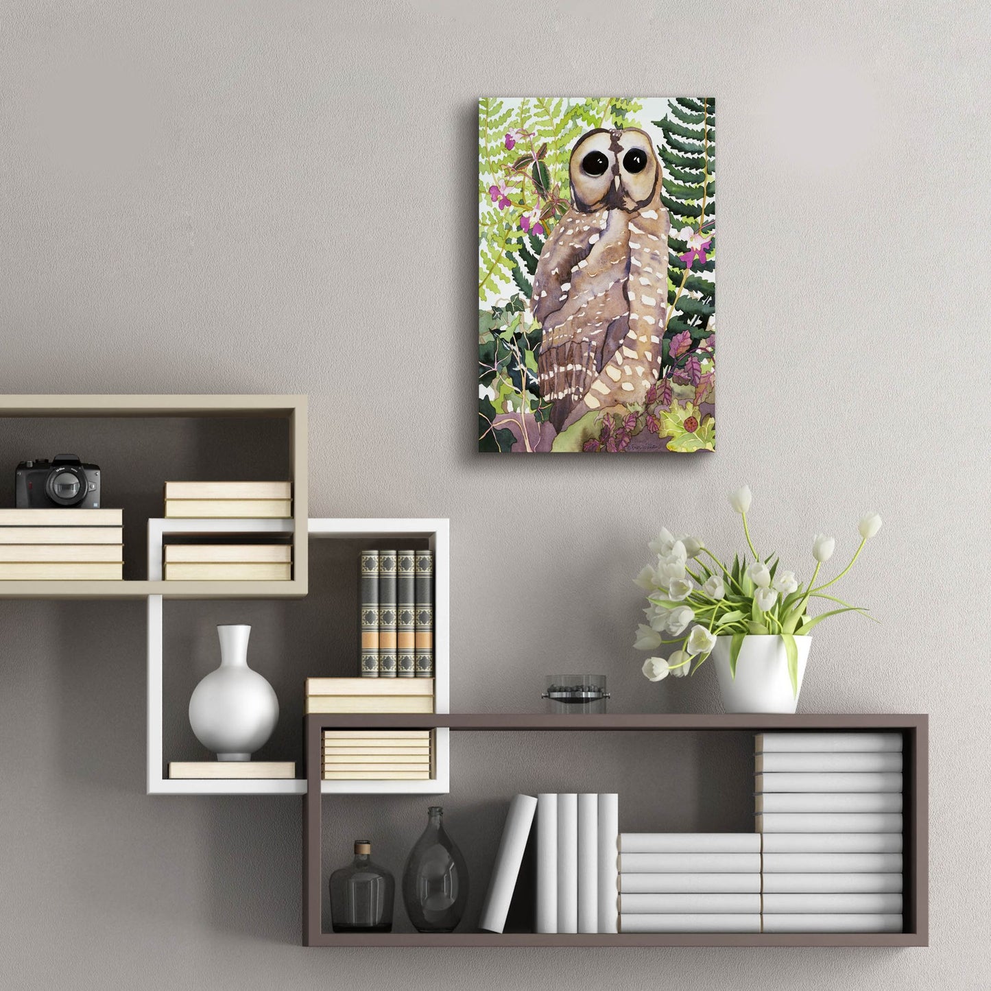 Epic Art 'Spotted Owl' by Carissa Luminess, Acrylic Glass Wall Art,16x24