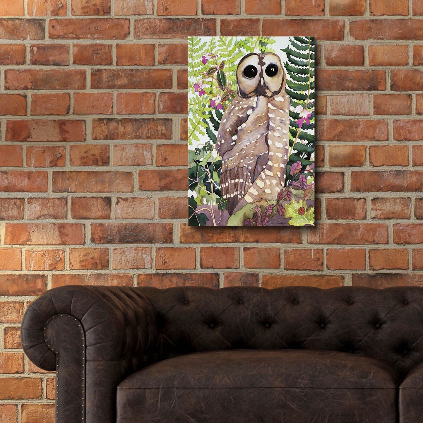 Epic Art 'Spotted Owl' by Carissa Luminess, Acrylic Glass Wall Art,16x24