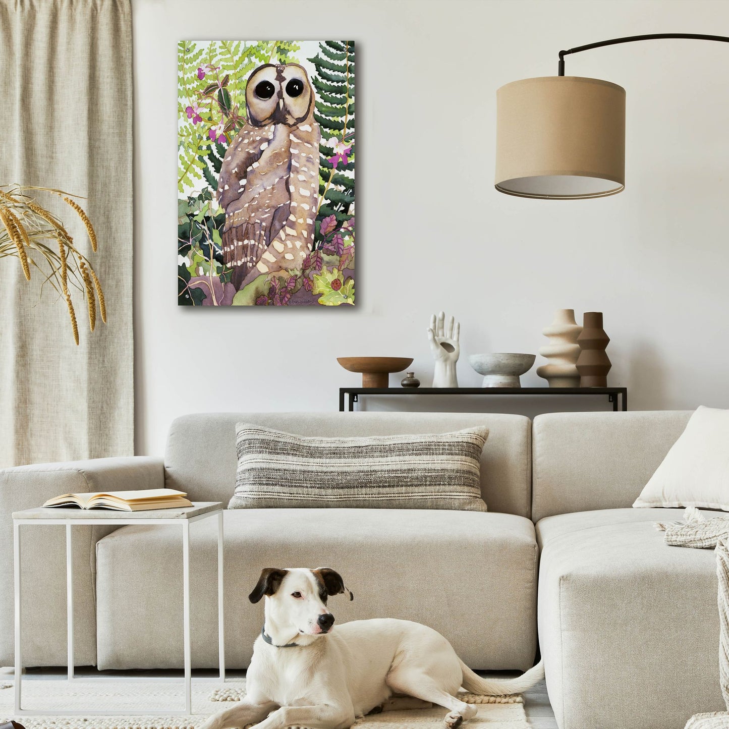 Epic Art 'Spotted Owl' by Carissa Luminess, Acrylic Glass Wall Art,24x36