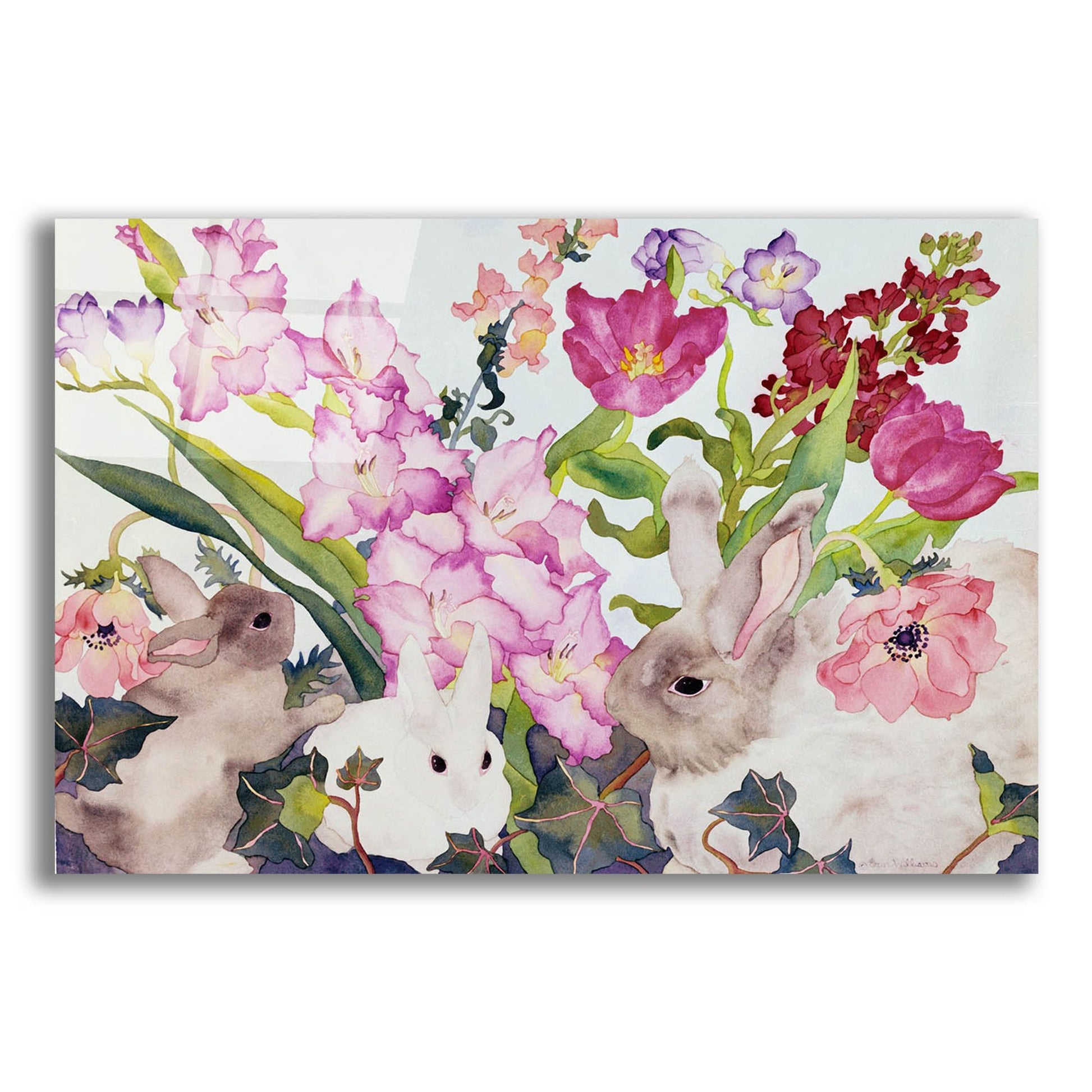 Epic Art 'Three Bunnies' by Carissa Luminess, Acrylic Glass Wall Art,16x12