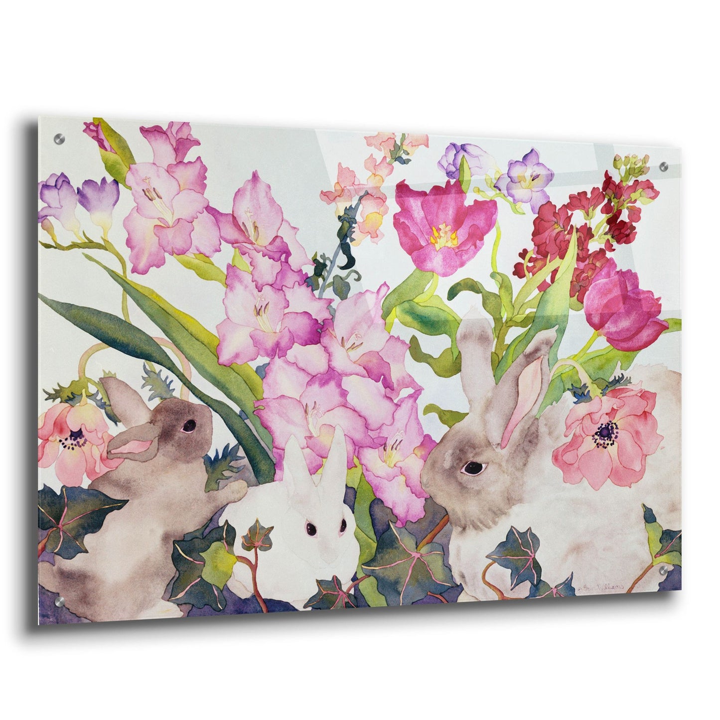 Epic Art 'Three Bunnies' by Carissa Luminess, Acrylic Glass Wall Art,36x24