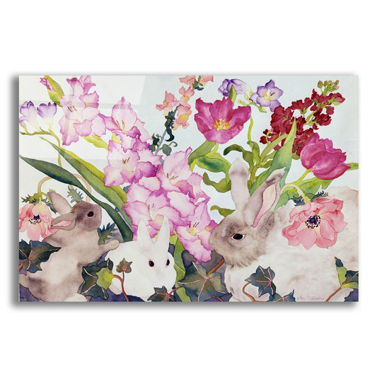 Epic Art 'Three Bunnies' by Carissa Luminess, Acrylic Glass Wall Art