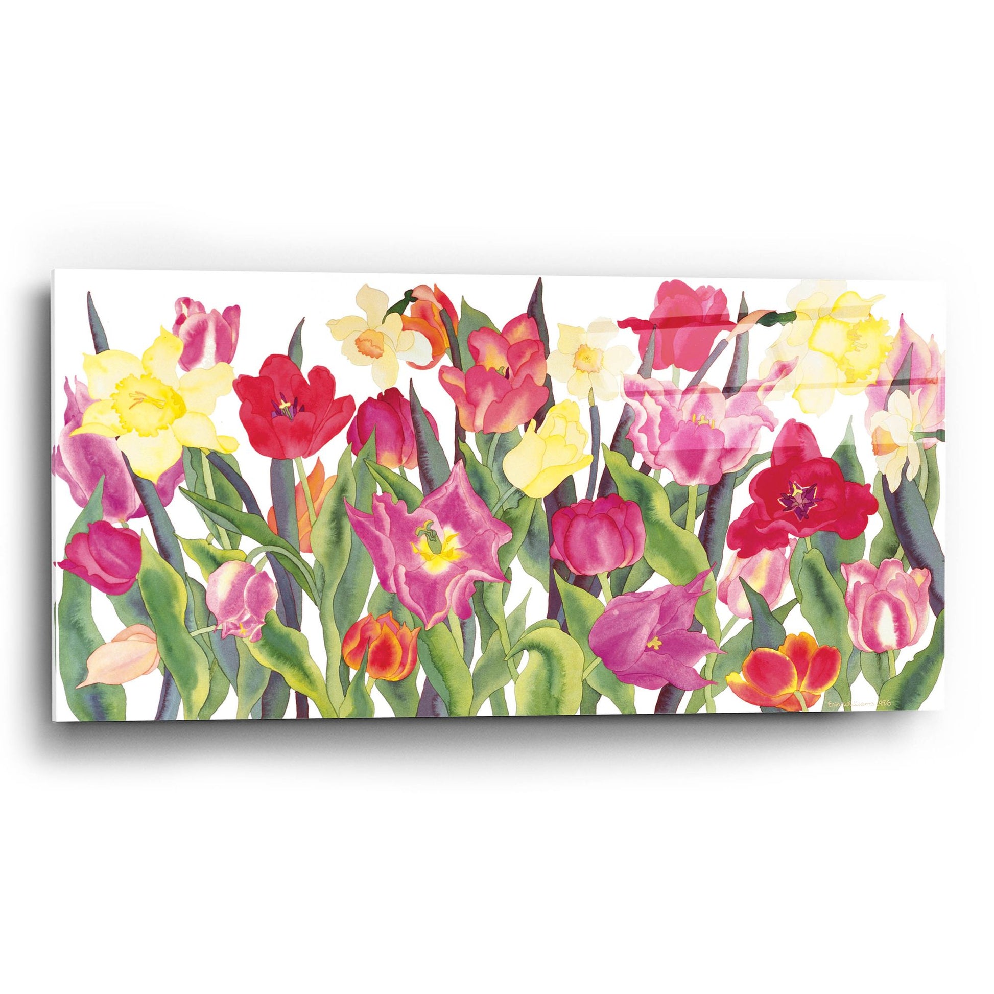 Epic Art 'Tulips And Daffodils' by Carissa Luminess, Acrylic Glass Wall Art,24x12