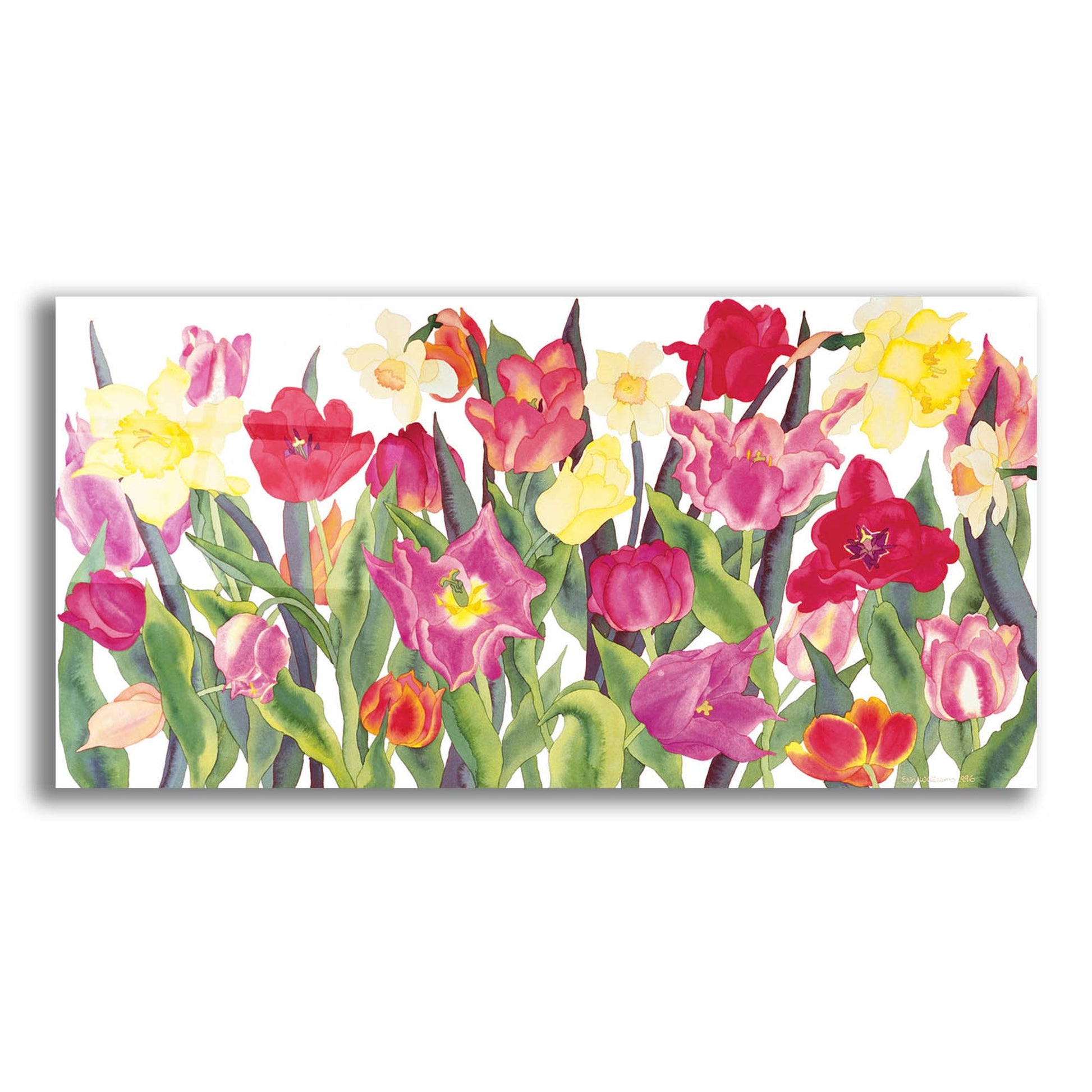 Epic Art 'Tulips And Daffodils' by Carissa Luminess, Acrylic Glass Wall Art,24x12