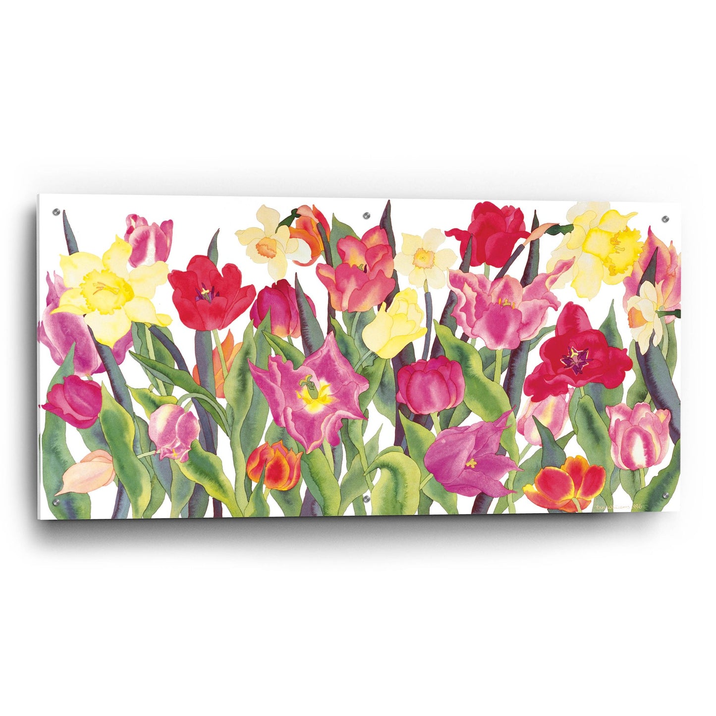 Epic Art 'Tulips And Daffodils' by Carissa Luminess, Acrylic Glass Wall Art,48x24