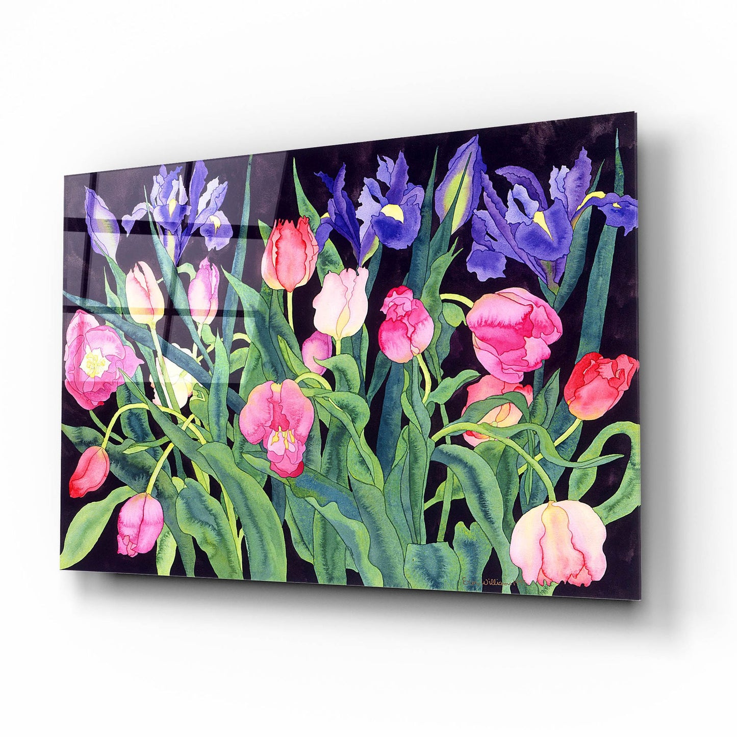 Epic Art 'Tulips And Irises' by Carissa Luminess, Acrylic Glass Wall Art,16x12