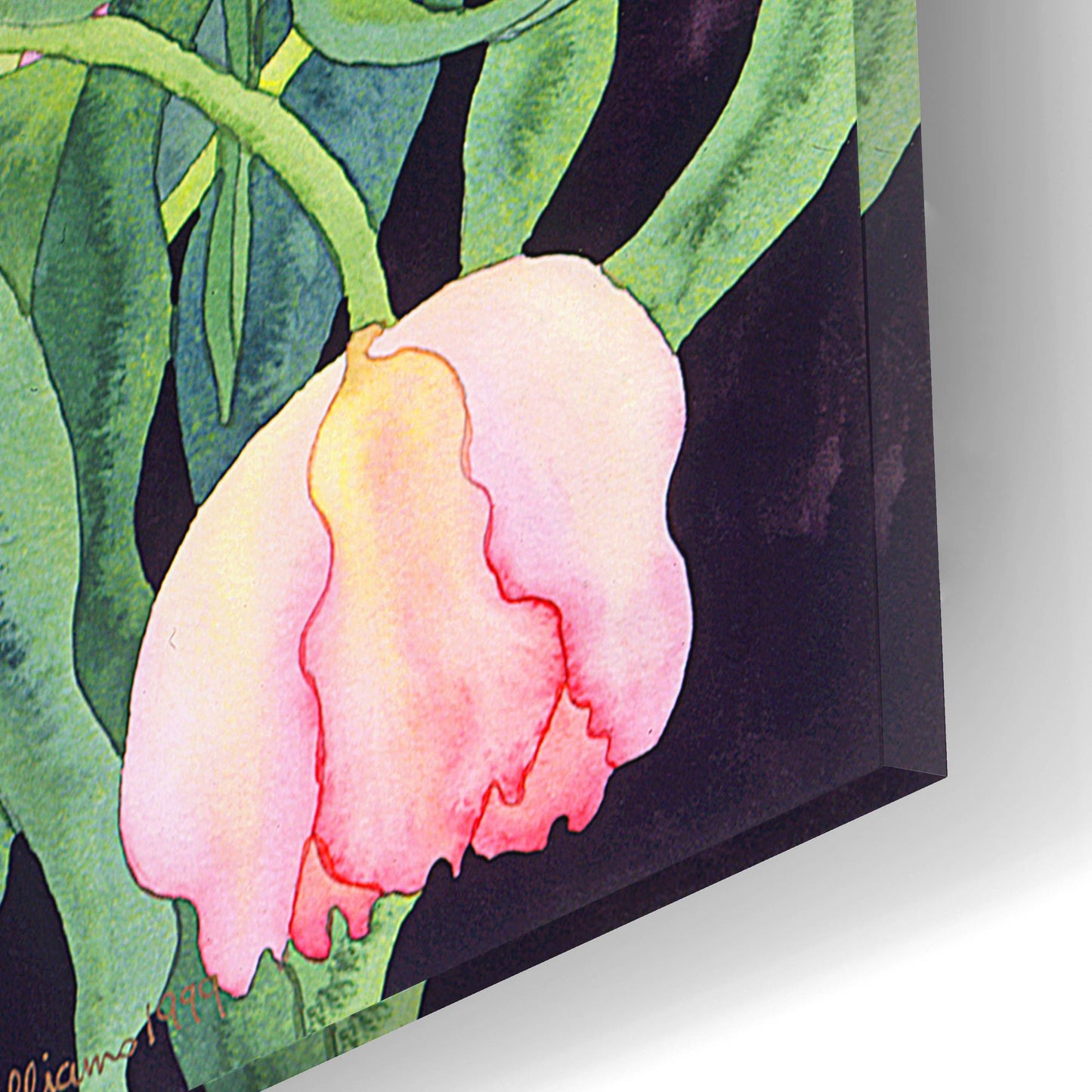 Epic Art 'Tulips And Irises' by Carissa Luminess, Acrylic Glass Wall Art,16x12