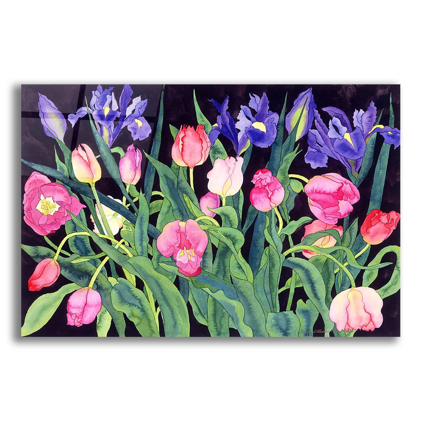 Epic Art 'Tulips And Irises' by Carissa Luminess, Acrylic Glass Wall Art,16x12