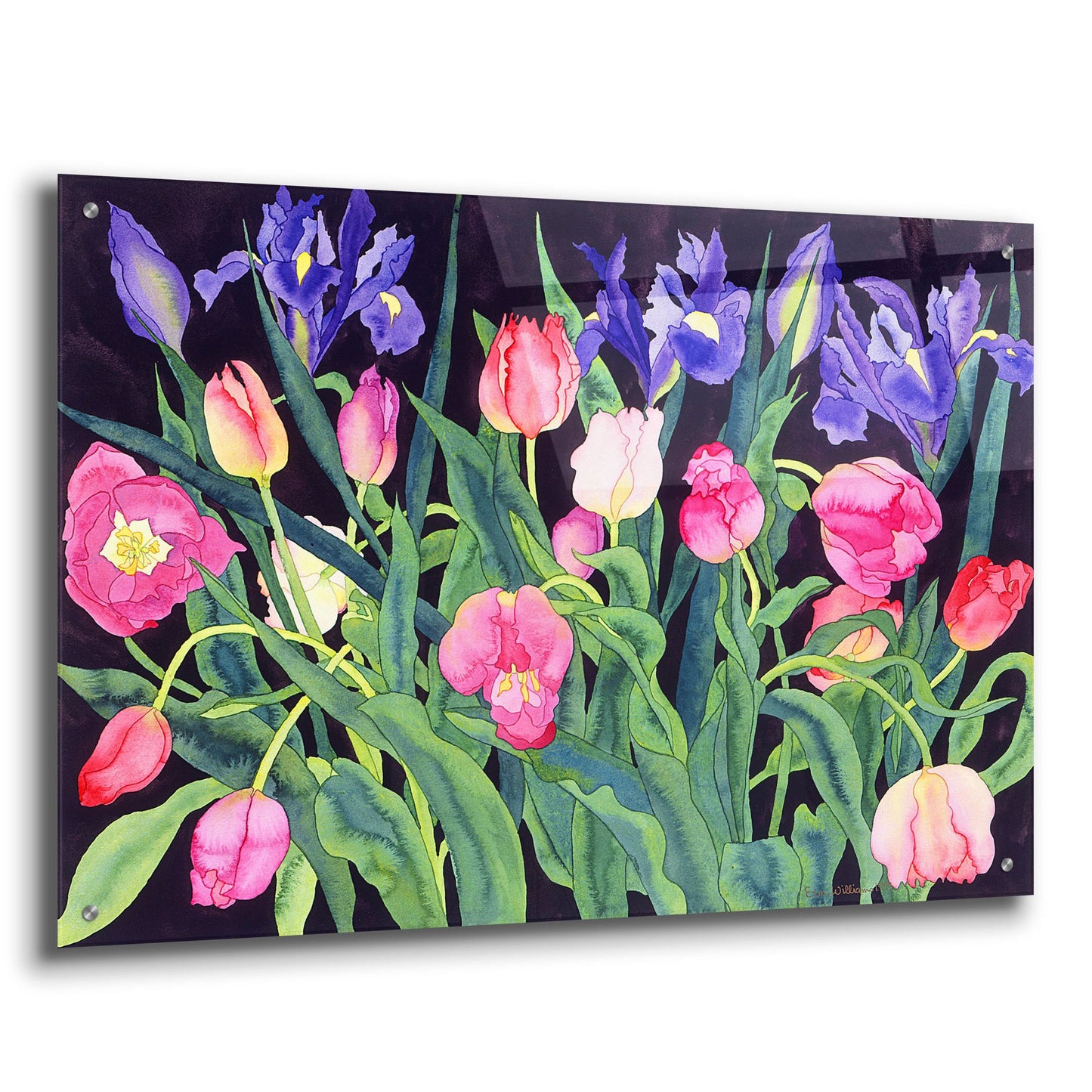 Epic Art 'Tulips And Irises' by Carissa Luminess, Acrylic Glass Wall Art,36x24