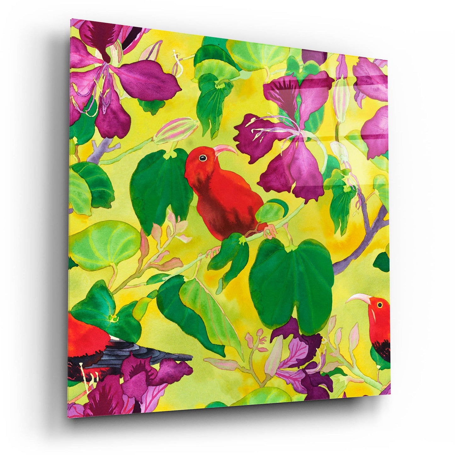 Epic Art 'Liwis in Orchid Tree - Repeat Pattern' by Carissa Luminess, Acrylic Glass Wall Art,12x12