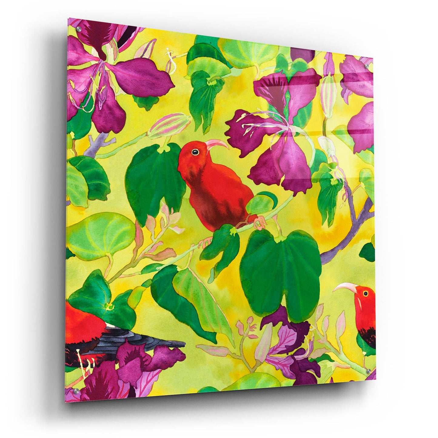 Epic Art 'Liwis in Orchid Tree - Repeat Pattern' by Carissa Luminess, Acrylic Glass Wall Art,36x36