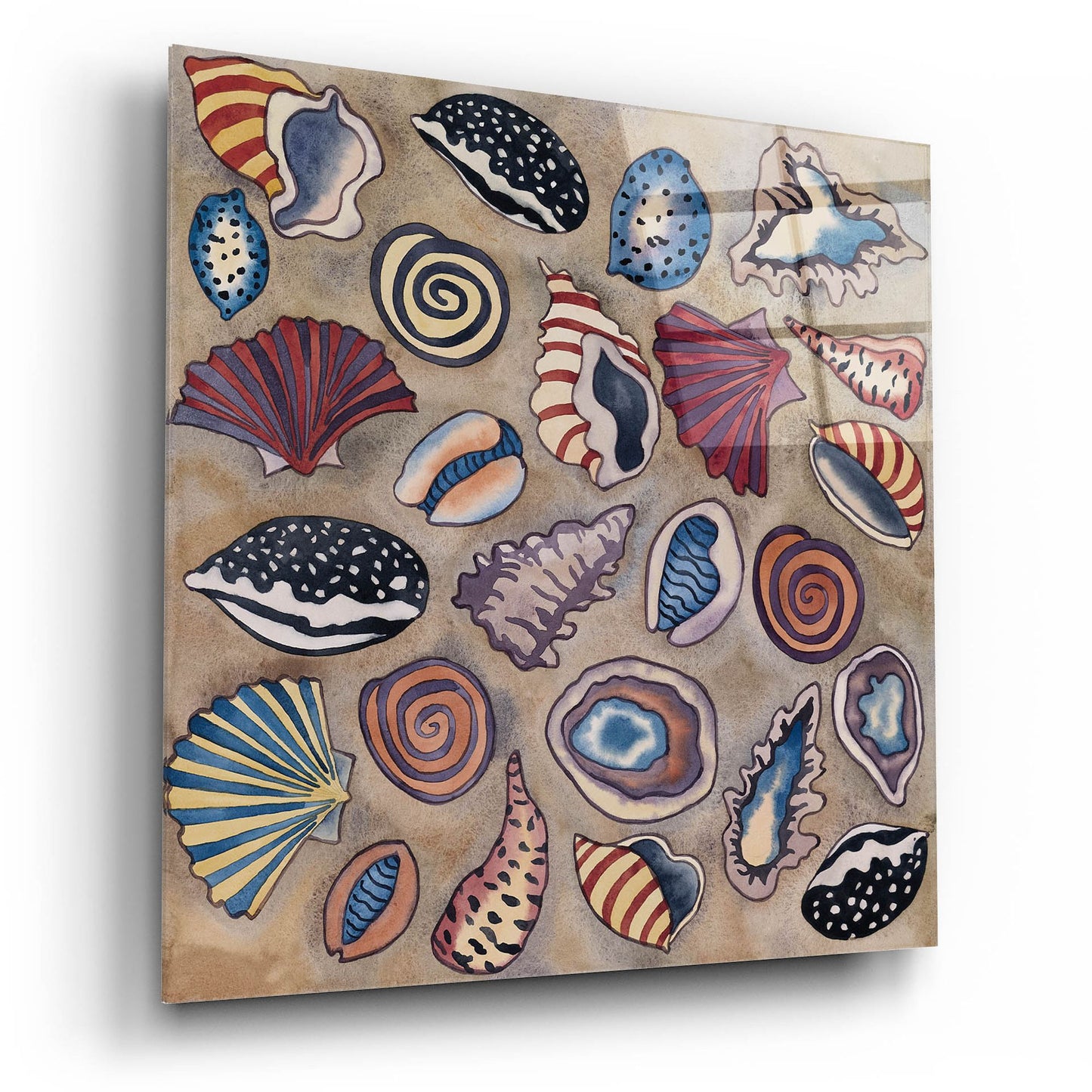 Epic Art 'Sea Shells- Square' by Carissa Luminess, Acrylic Glass Wall Art,12x12