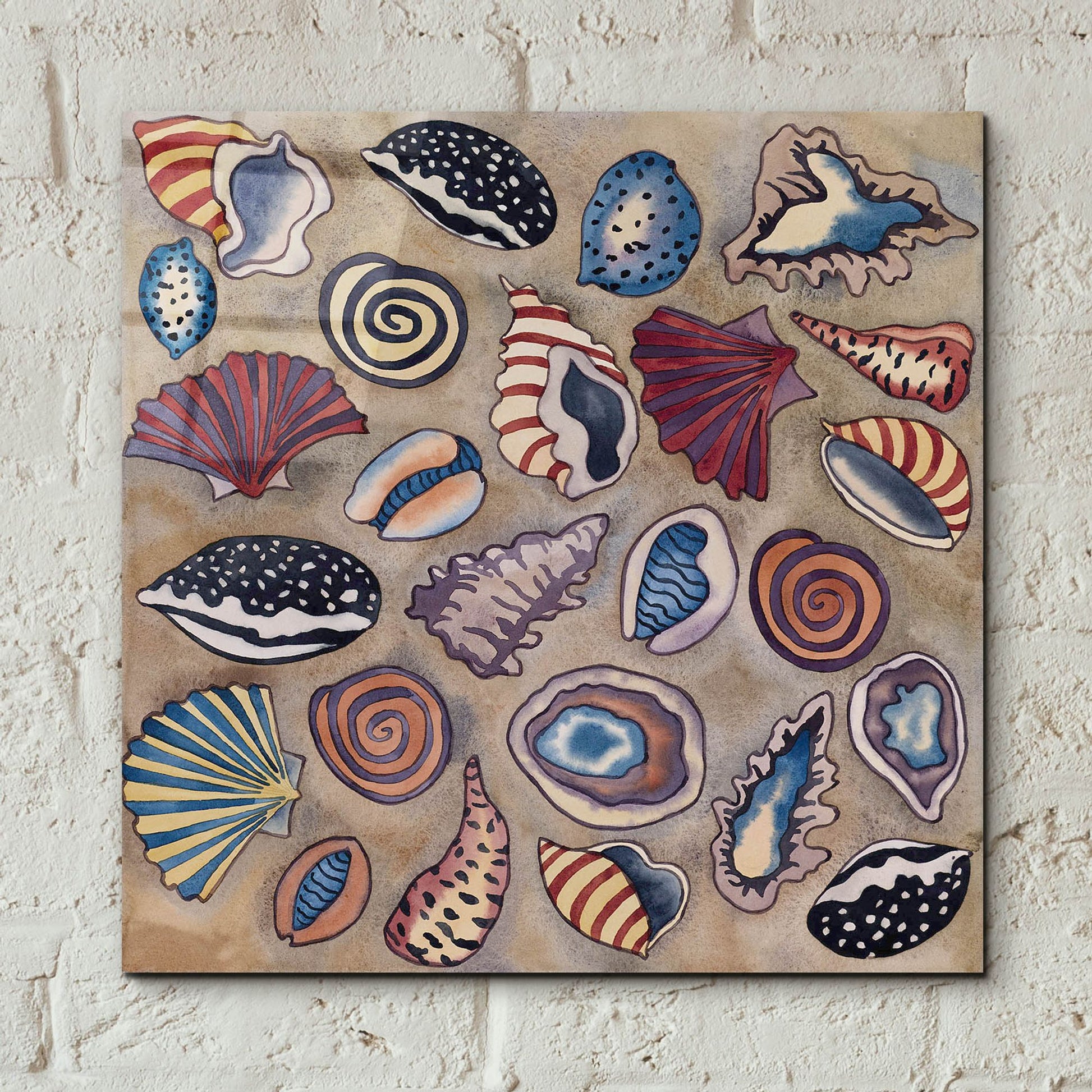 Epic Art 'Sea Shells- Square' by Carissa Luminess, Acrylic Glass Wall Art,12x12