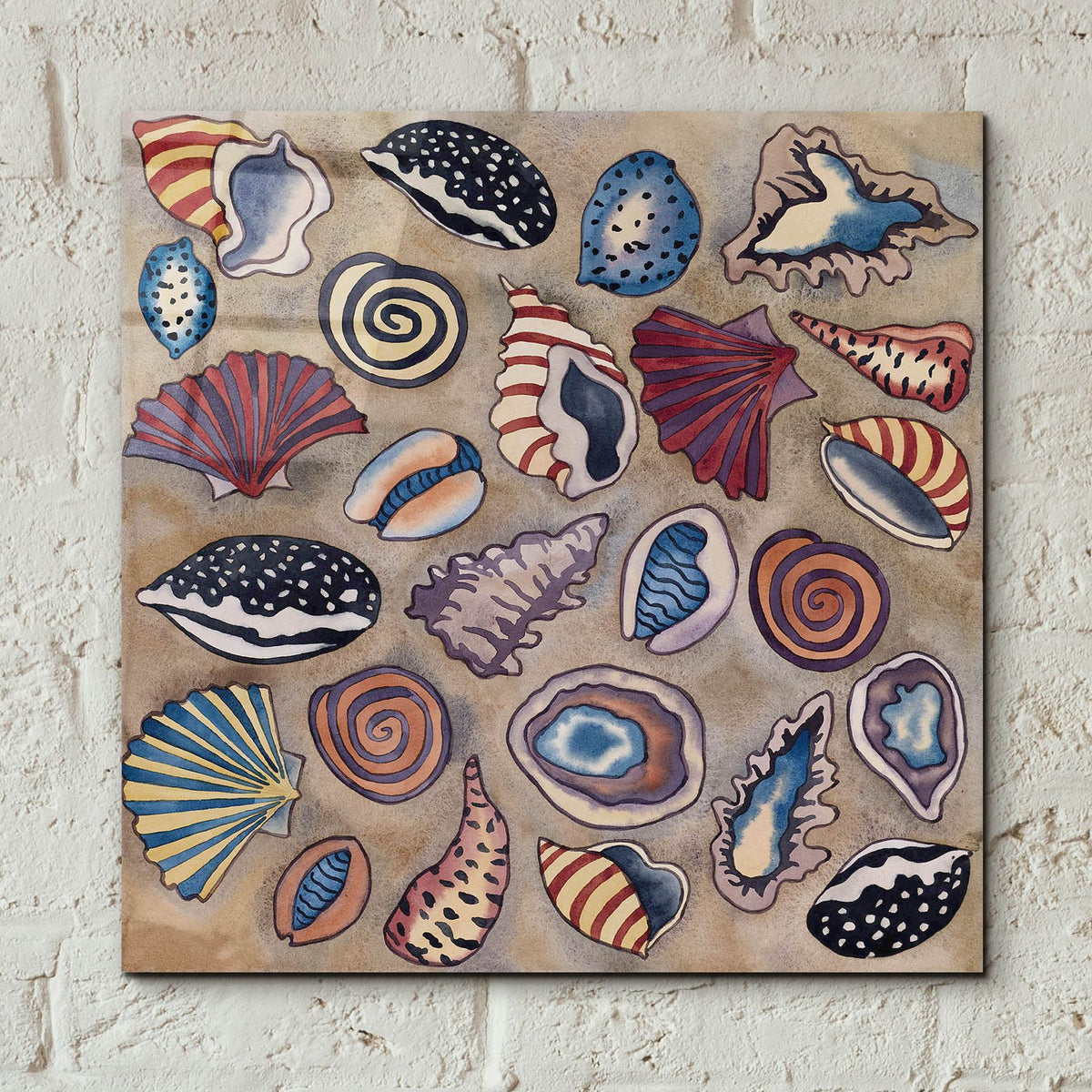Sea Shells- Square by Carissa Luminess - 12x12 acrylic wall art in a room