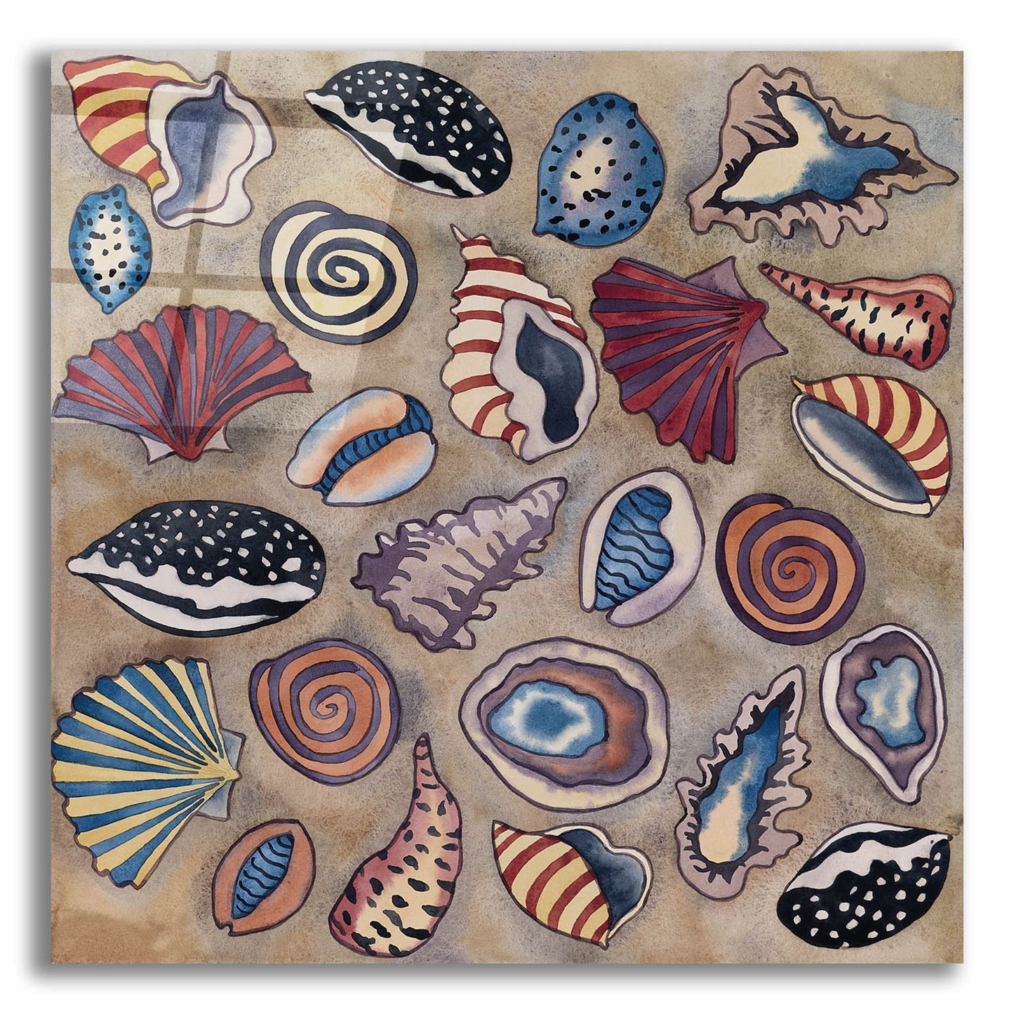 Epic Art 'Sea Shells- Square' by Carissa Luminess, Acrylic Glass Wall Art,12x12