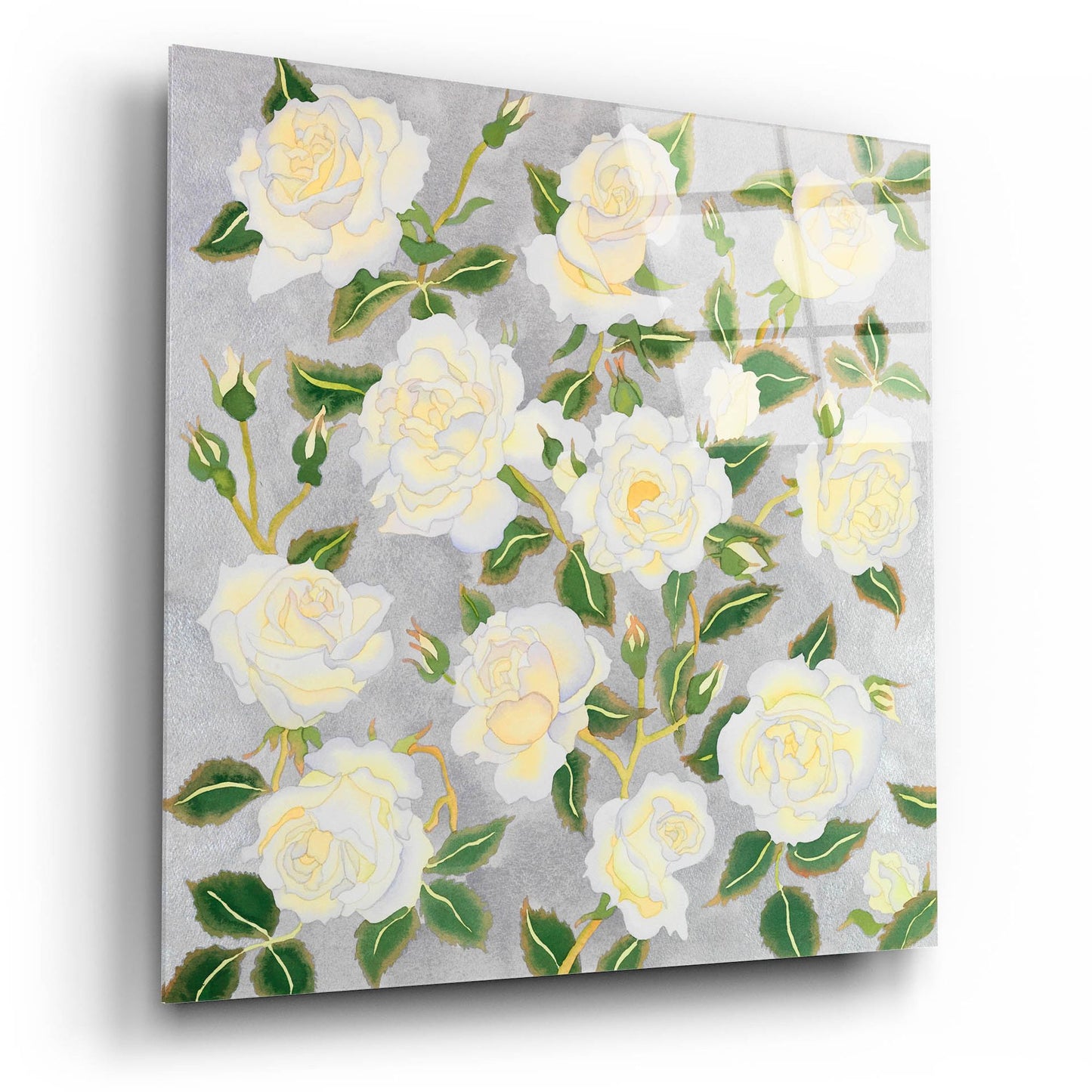 Epic Art 'White Roses- Square' by Carissa Luminess, Acrylic Glass Wall Art,12x12