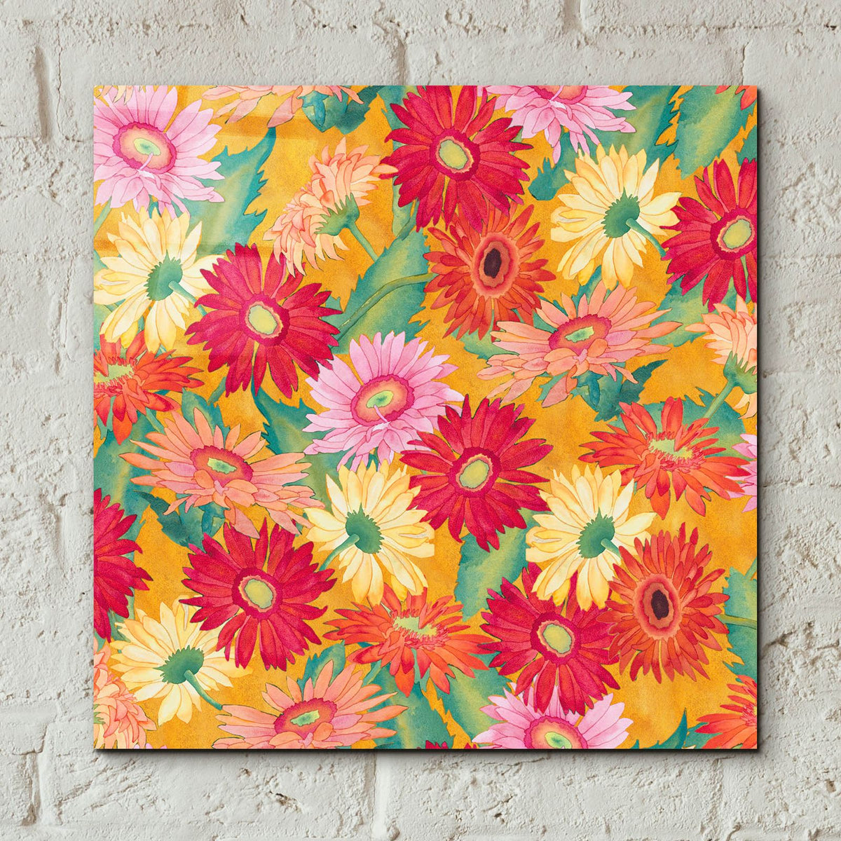 Heavenly Divine- Daisies by Carissa Luminess - 12x12 acrylic wall art in a room