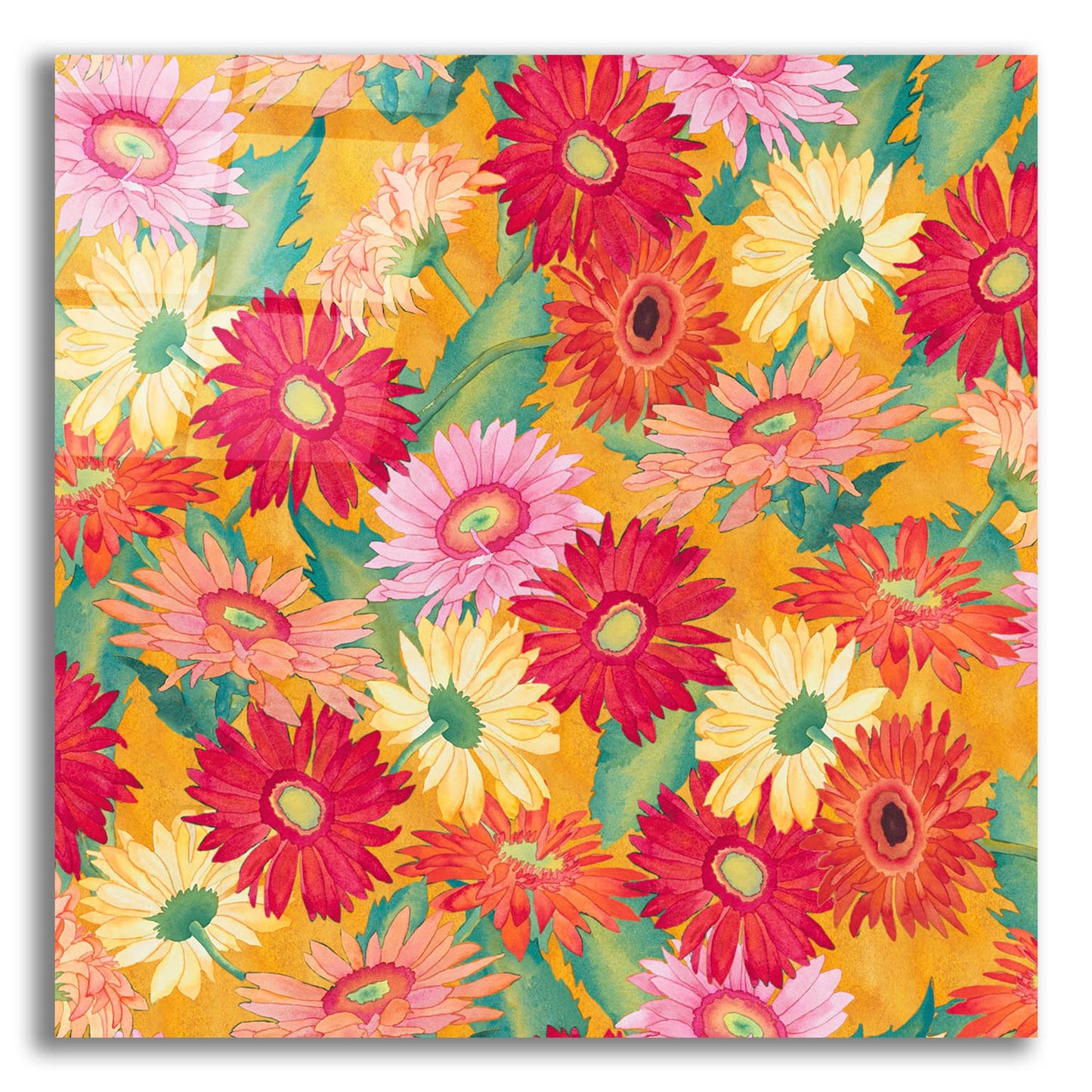 Epic Art 'Heavenly Divine- Daisies' by Carissa Luminess, Acrylic Glass Wall Art,12x12