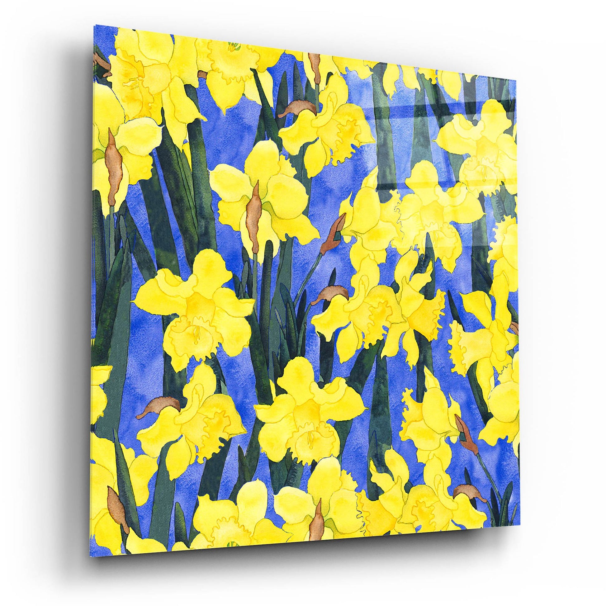 Epic Art 'Fertile Rising Pattern - Daffodils' by Carissa Luminess, Acrylic Glass Wall Art,12x12