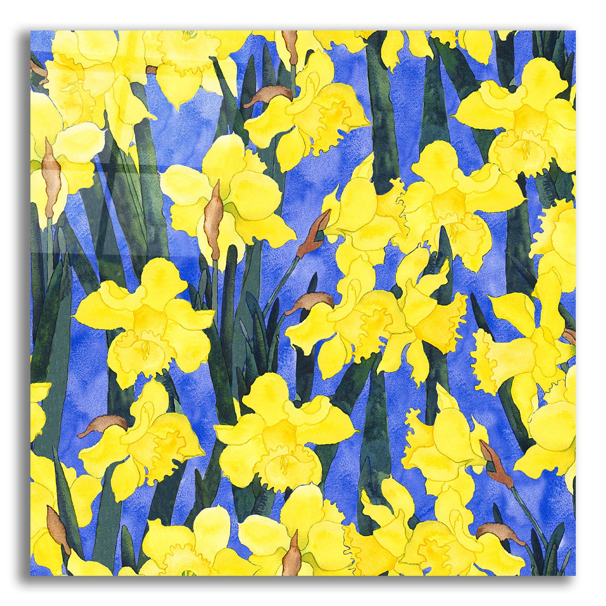 Epic Art 'Fertile Rising Pattern - Daffodils' by Carissa Luminess, Acrylic Glass Wall Art,12x12