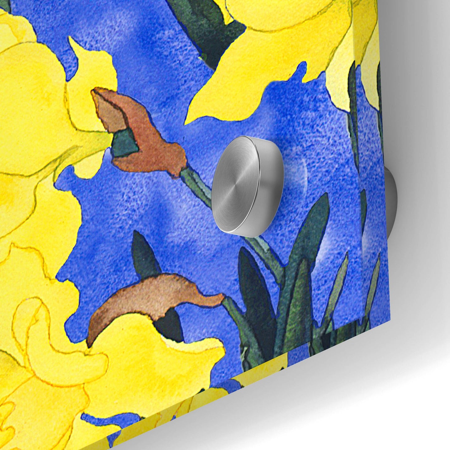 Epic Art 'Fertile Rising Pattern - Daffodils' by Carissa Luminess, Acrylic Glass Wall Art,24x24