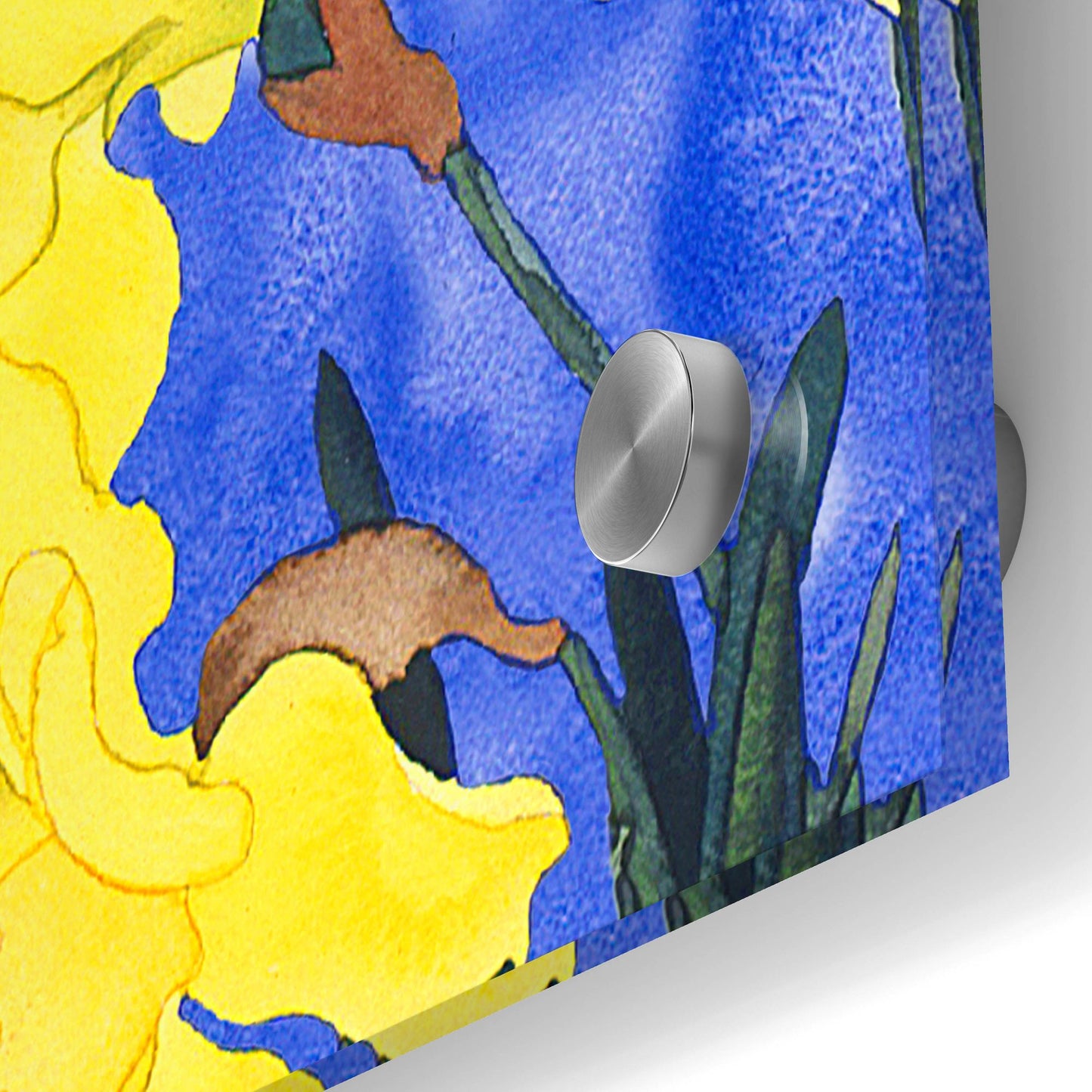 Epic Art 'Fertile Rising Pattern - Daffodils' by Carissa Luminess, Acrylic Glass Wall Art,36x36