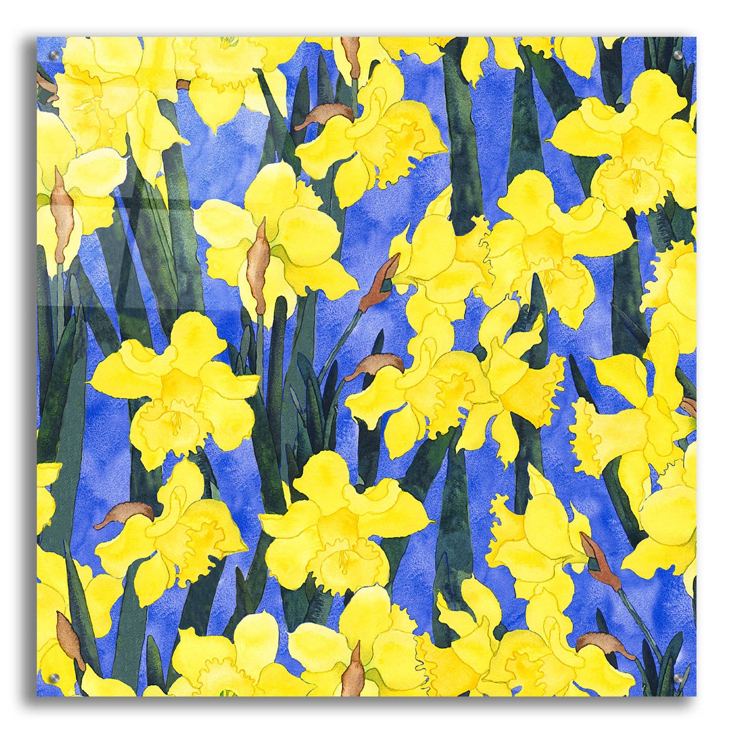 Epic Art 'Fertile Rising Pattern - Daffodils' by Carissa Luminess, Acrylic Glass Wall Art,36x36