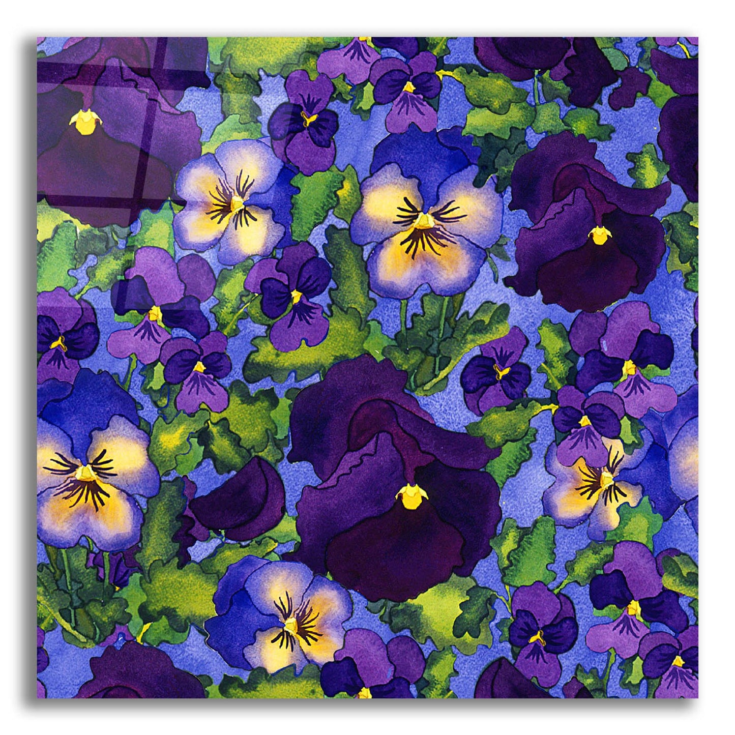 Epic Art 'Fertile Rising Pattern - Pansies' by Carissa Luminess, Acrylic Glass Wall Art,12x12