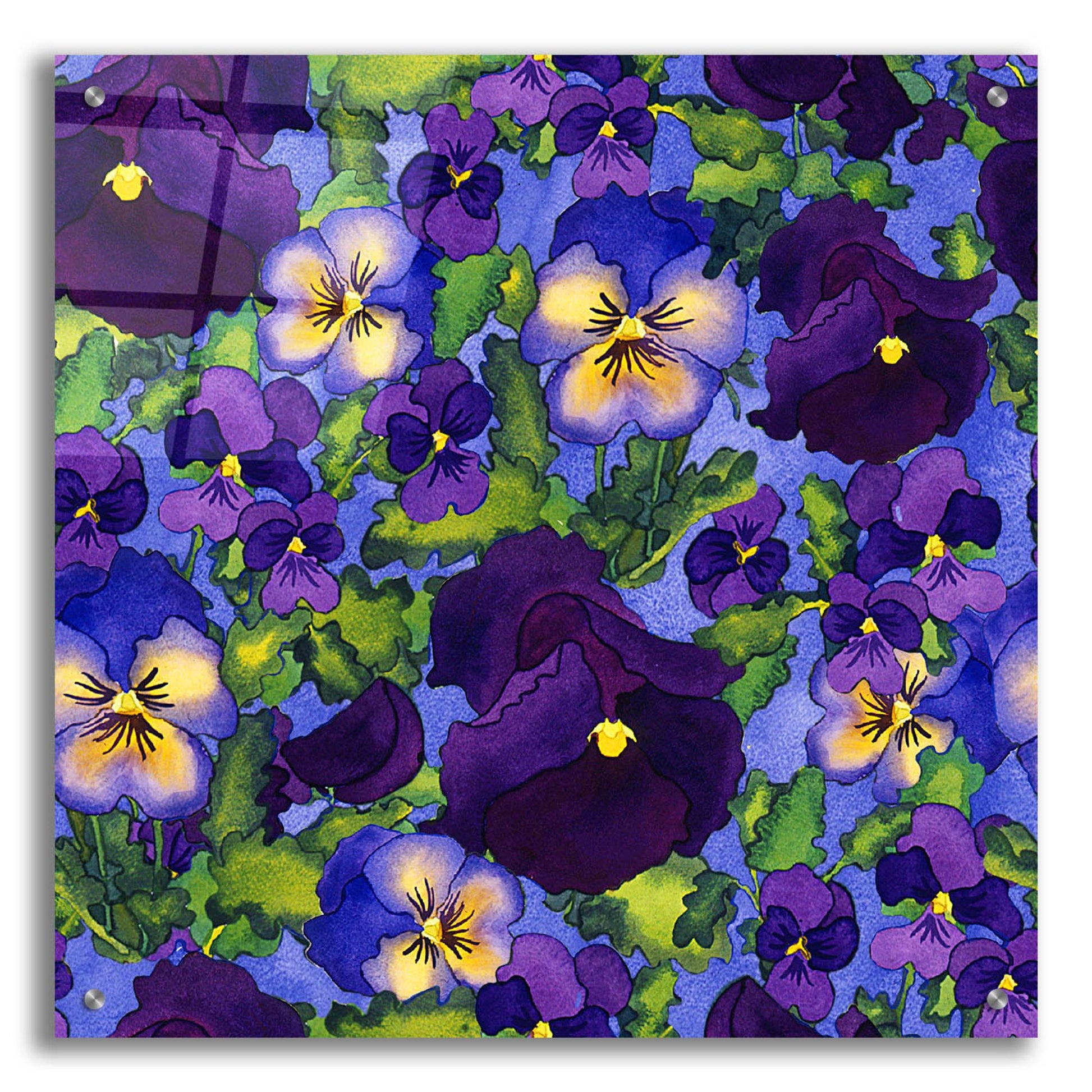 Epic Art 'Fertile Rising Pattern - Pansies' by Carissa Luminess, Acrylic Glass Wall Art,24x24