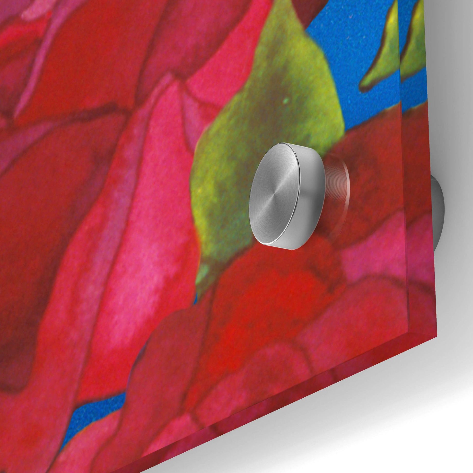 Epic Art 'Dance Of Love- Roses & Zinnias' by Carissa Luminess, Acrylic Glass Wall Art,36x36