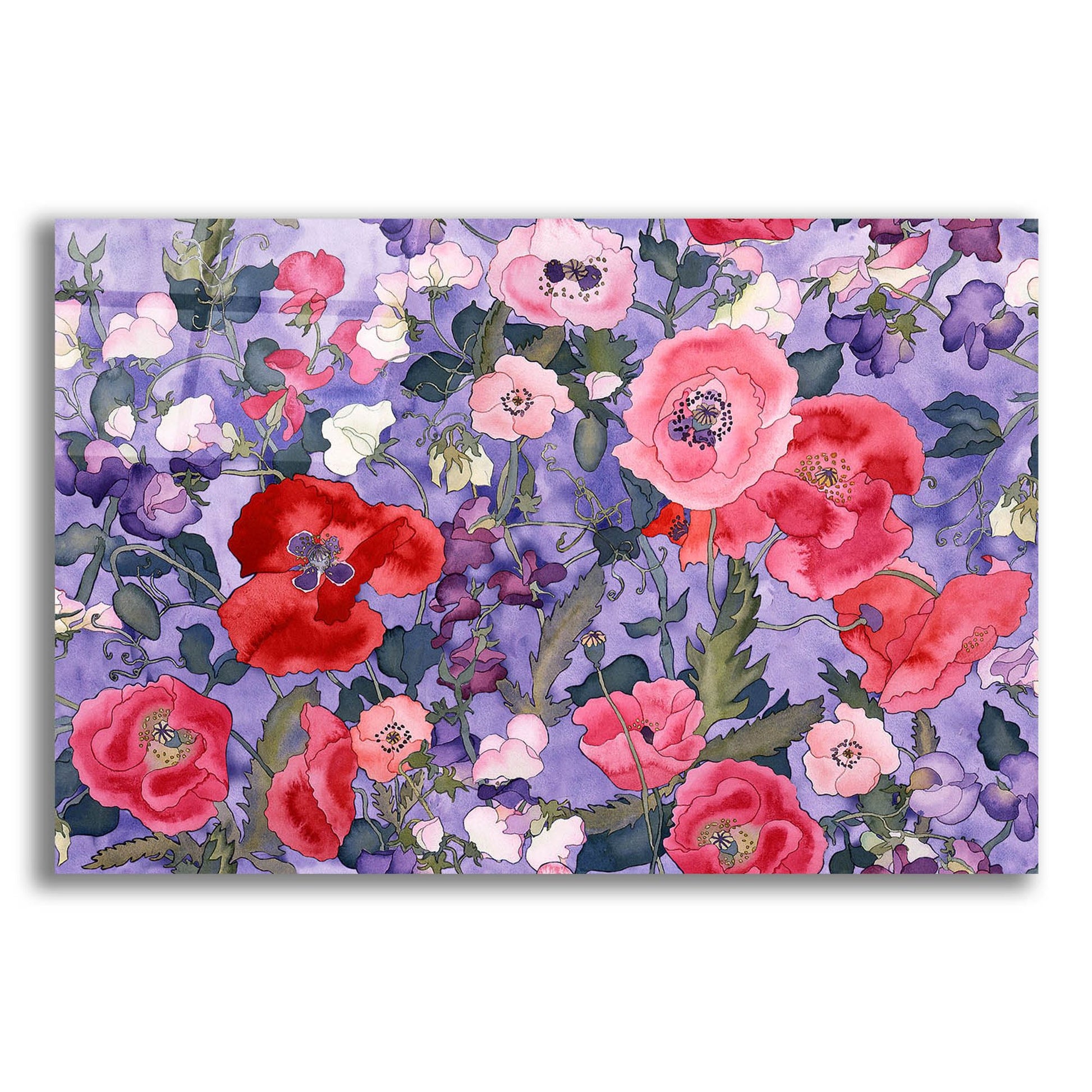 Epic Art 'Poppies & Sweet Peas Pattern-Light' by Carissa Luminess, Acrylic Glass Wall Art,16x12