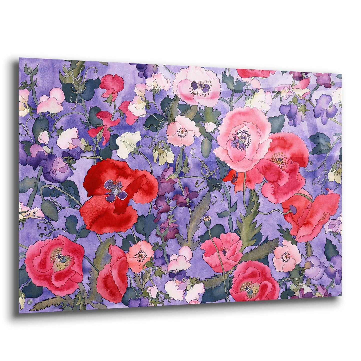 Epic Art 'Poppies & Sweet Peas Pattern-Light' by Carissa Luminess, Acrylic Glass Wall Art,36x24