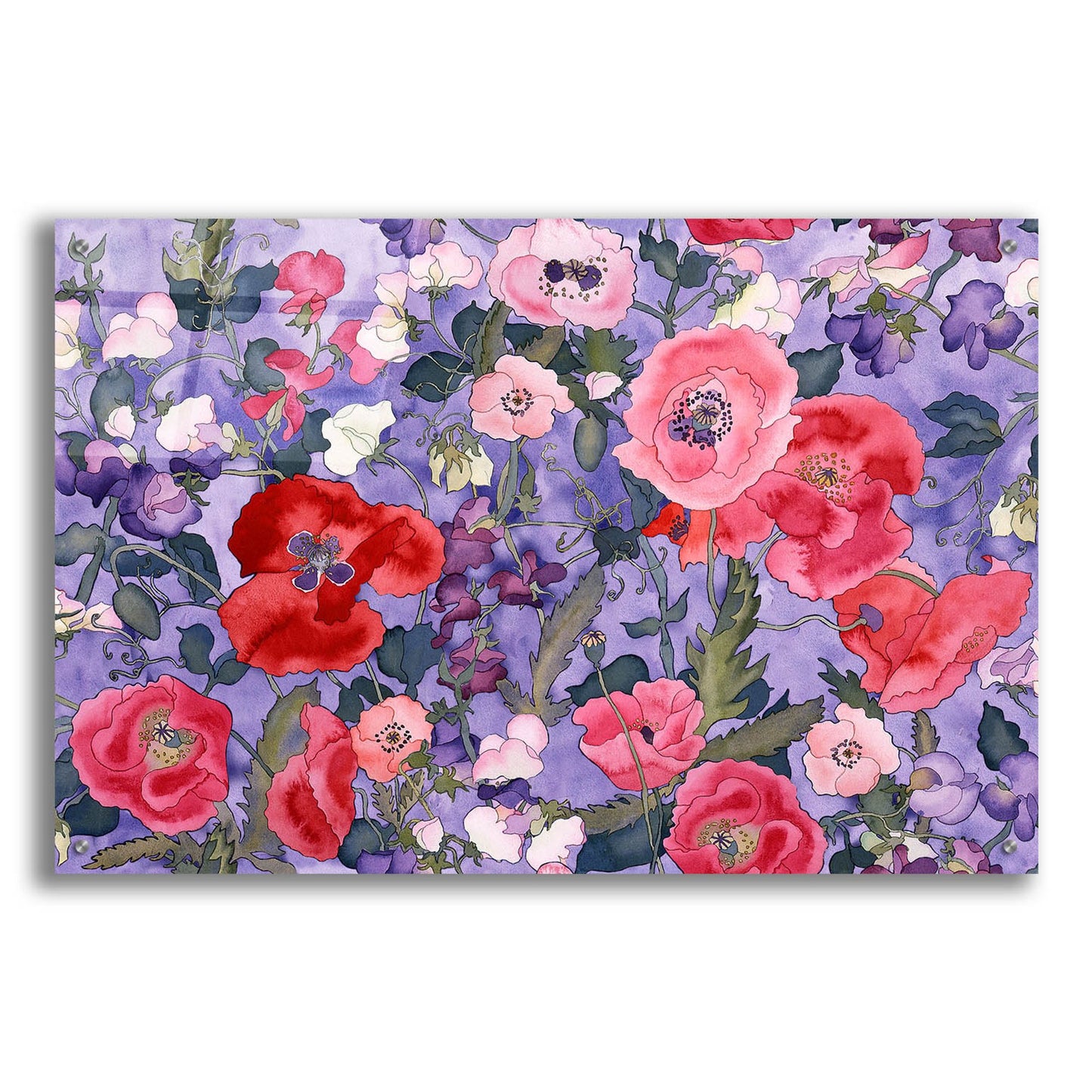 Epic Art 'Poppies & Sweet Peas Pattern-Light' by Carissa Luminess, Acrylic Glass Wall Art,36x24