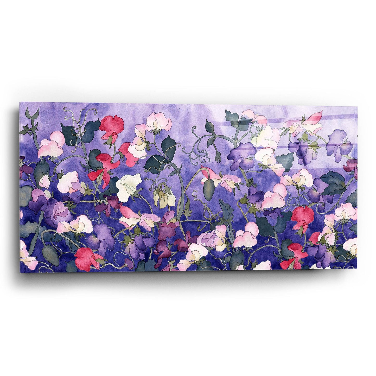 Epic Art 'Poppies & Sweet Peas- Run On Pattern' by Carissa Luminess, Acrylic Glass Wall Art,24x12