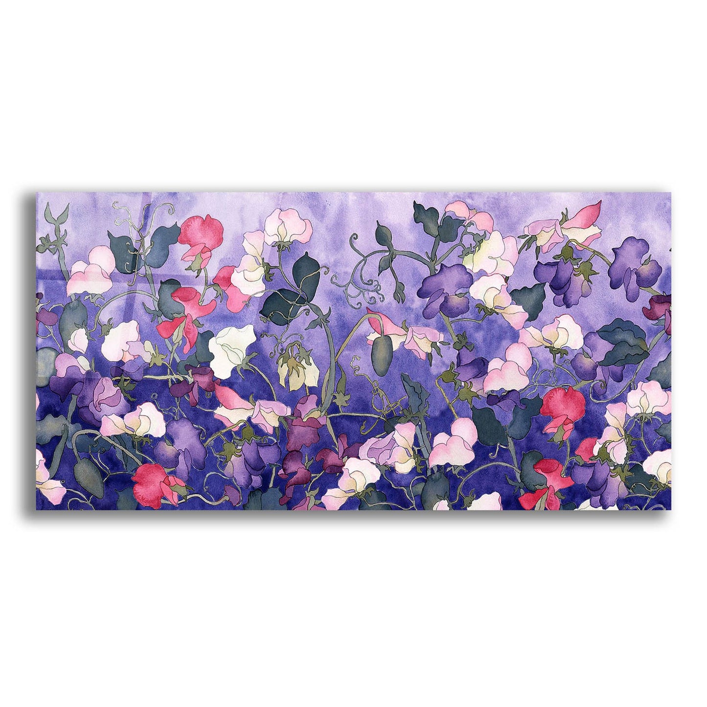 Epic Art 'Poppies & Sweet Peas- Run On Pattern' by Carissa Luminess, Acrylic Glass Wall Art,24x12