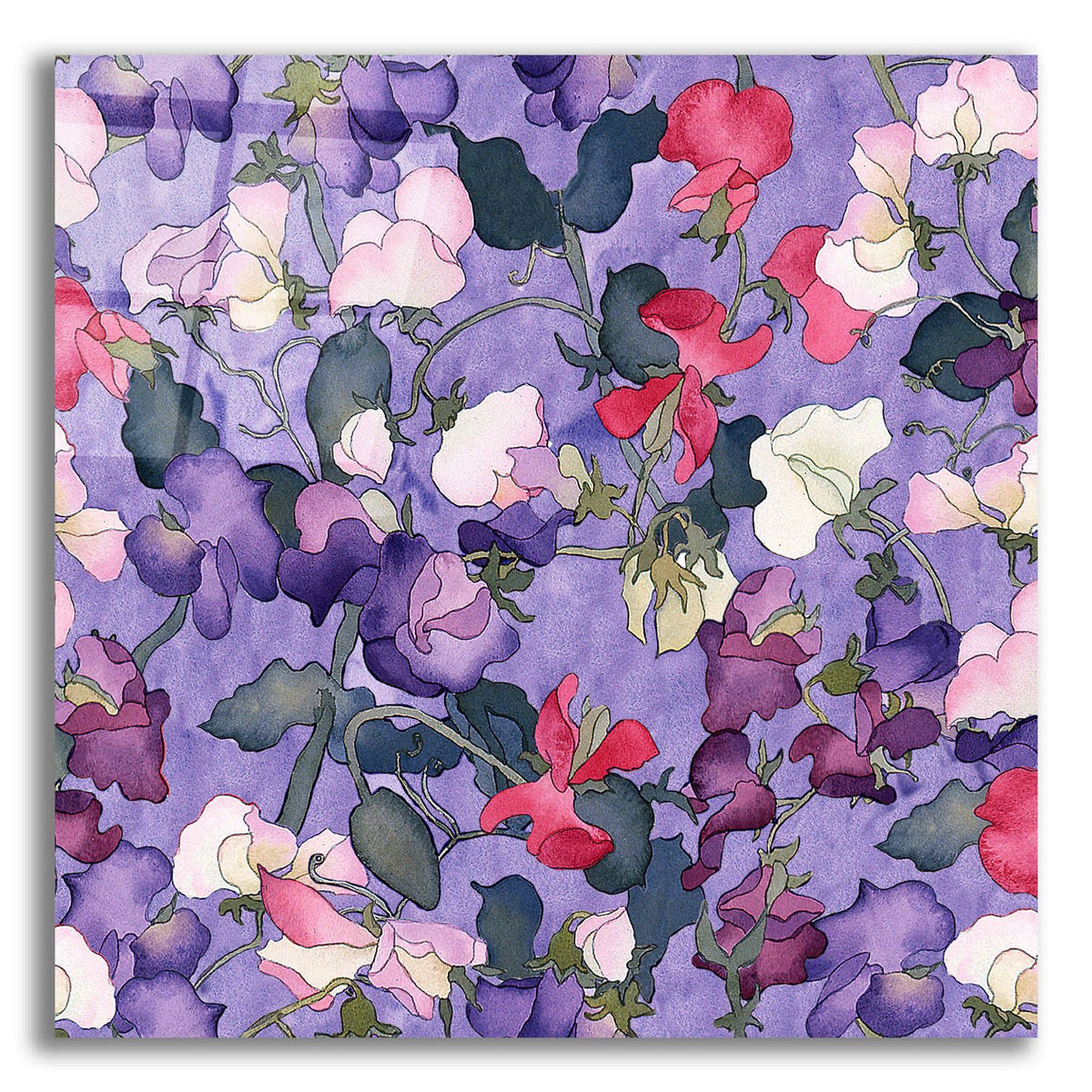 Sweet peas pattern-light by Carissa Luminess acrylic glass wall art