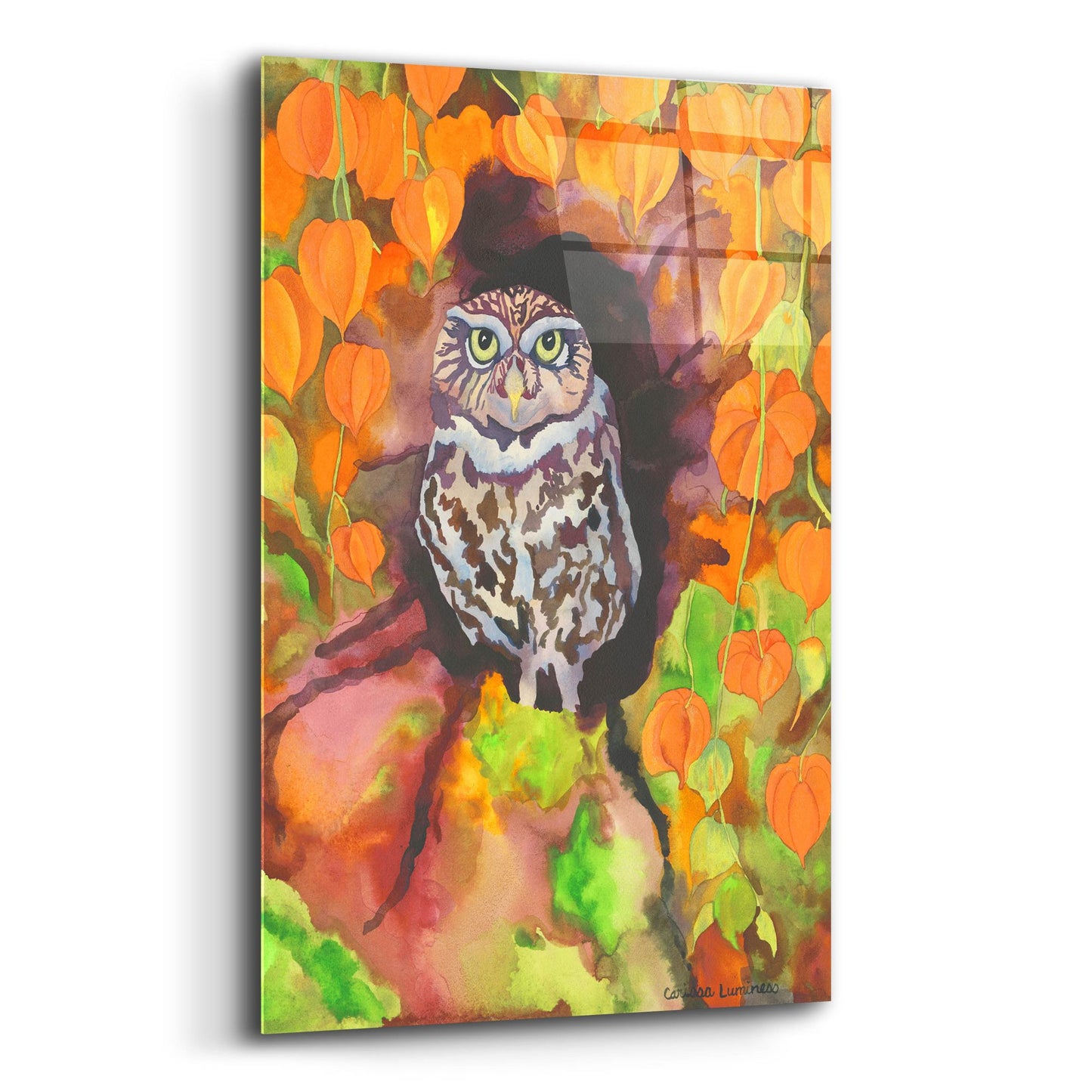 Epic Art 'Owl with Asian Lanterns' by Carissa Luminess, Acrylic Glass Wall Art,12x16