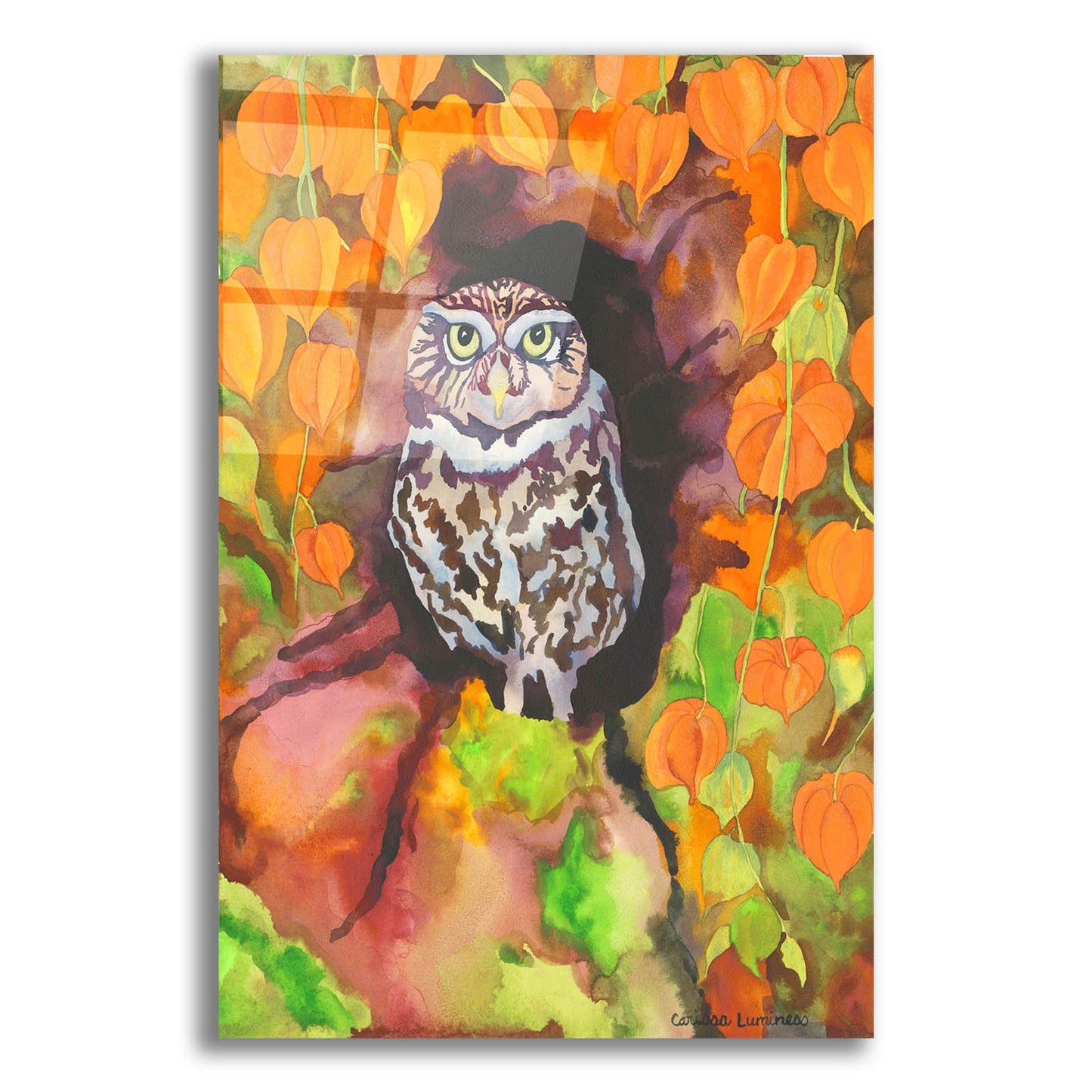 Epic Art 'Owl with Asian Lanterns' by Carissa Luminess, Acrylic Glass Wall Art,12x16