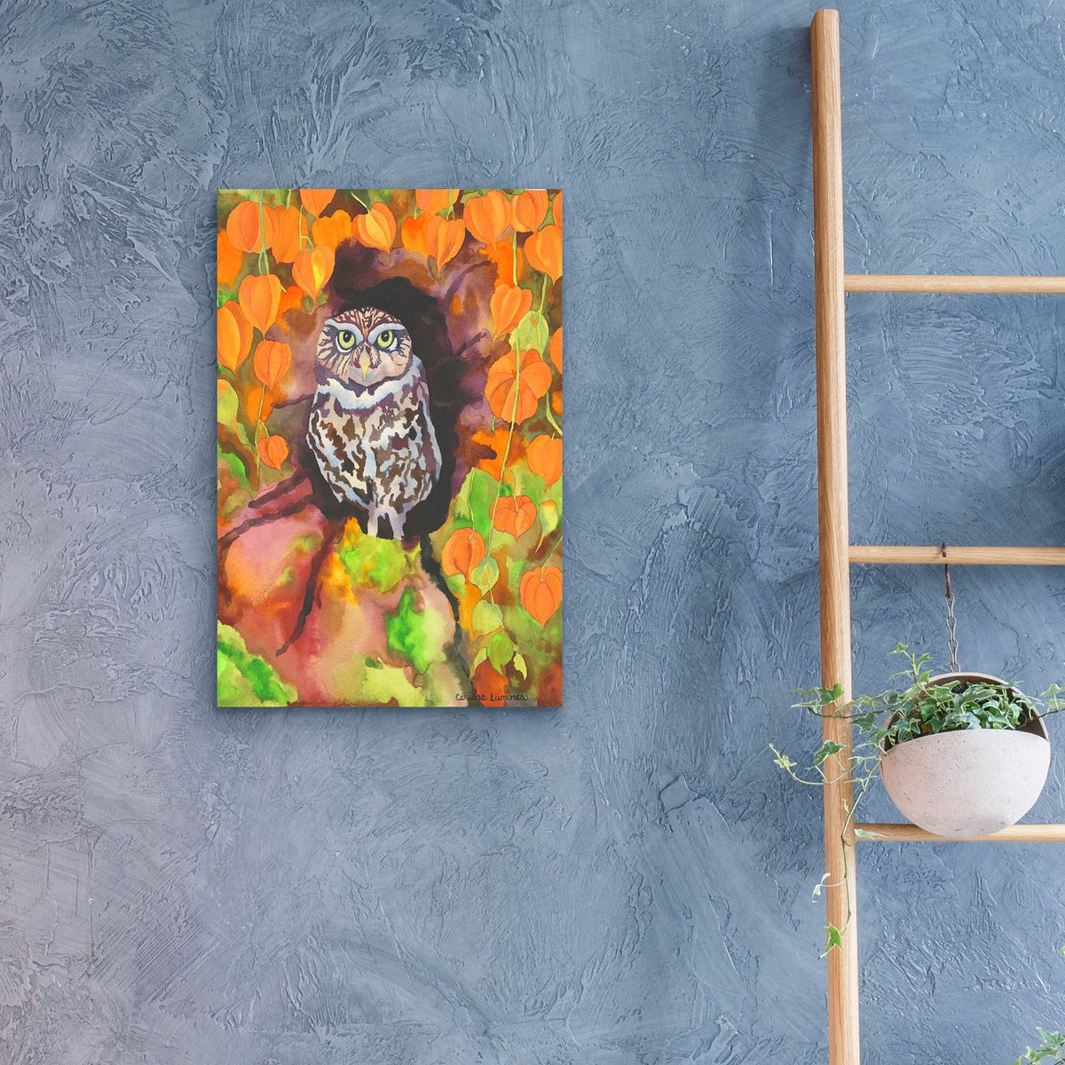 Owl with Asian Lanterns by Carissa Luminess - 16x24 acrylic wall art in a room