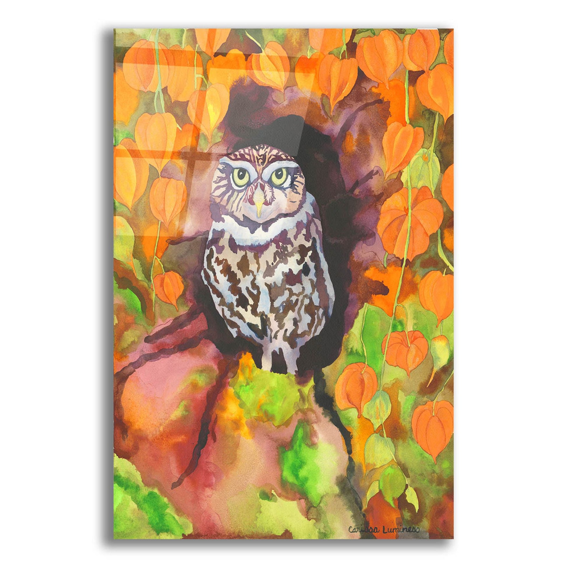 Epic Art 'Owl with Asian Lanterns' by Carissa Luminess, Acrylic Glass Wall Art,16x24