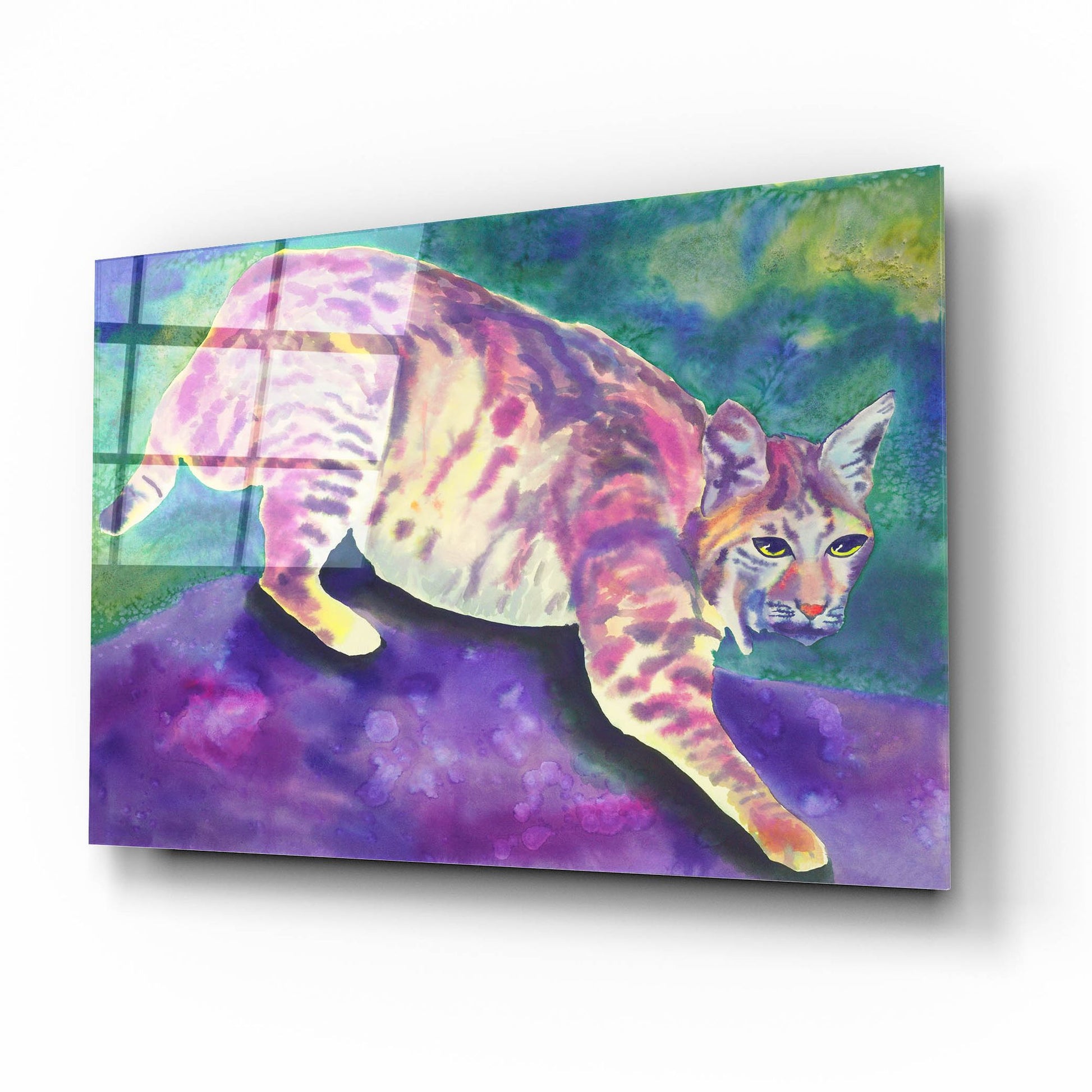 Epic Art 'Bobcat' by Carissa Luminess, Acrylic Glass Wall Art,16x12