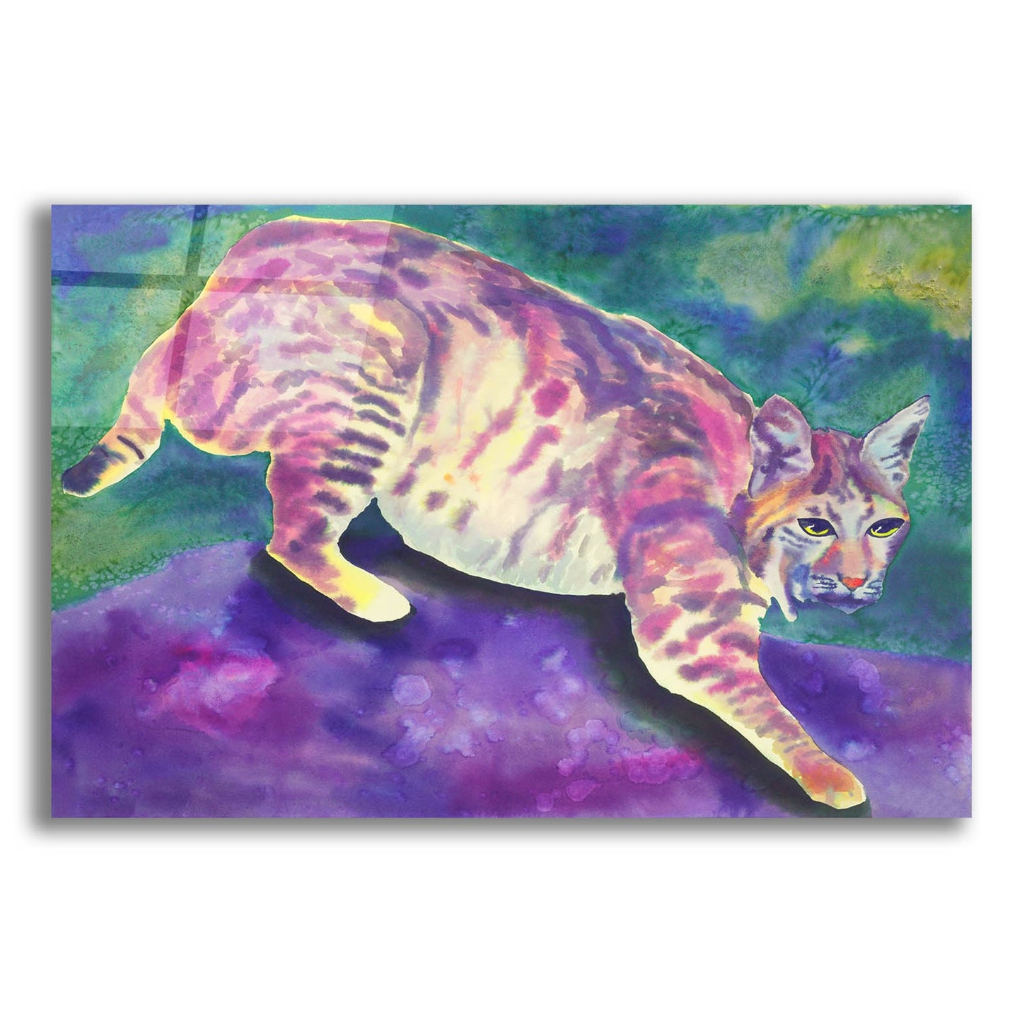 Epic Art 'Bobcat' by Carissa Luminess, Acrylic Glass Wall Art,16x12