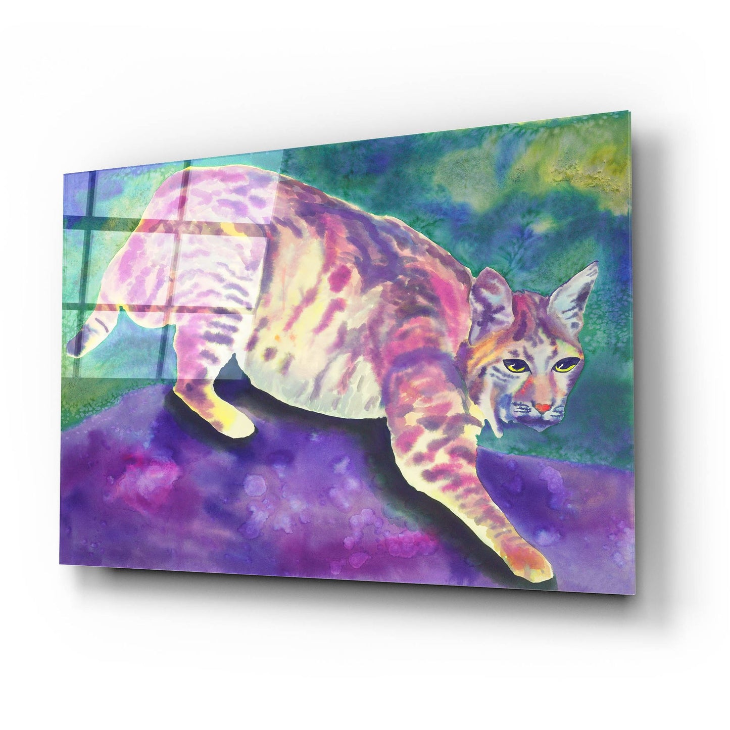 Epic Art 'Bobcat' by Carissa Luminess, Acrylic Glass Wall Art,24x16