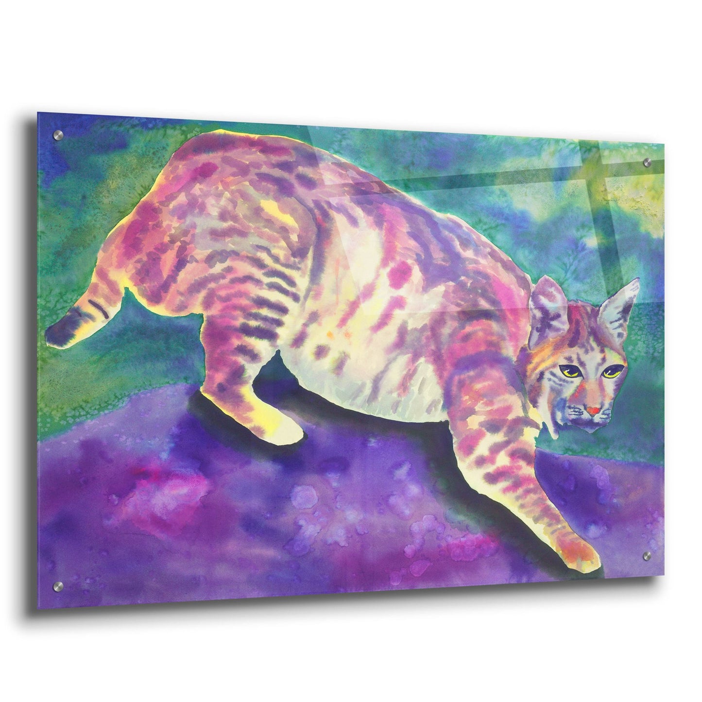 Epic Art 'Bobcat' by Carissa Luminess, Acrylic Glass Wall Art,36x24